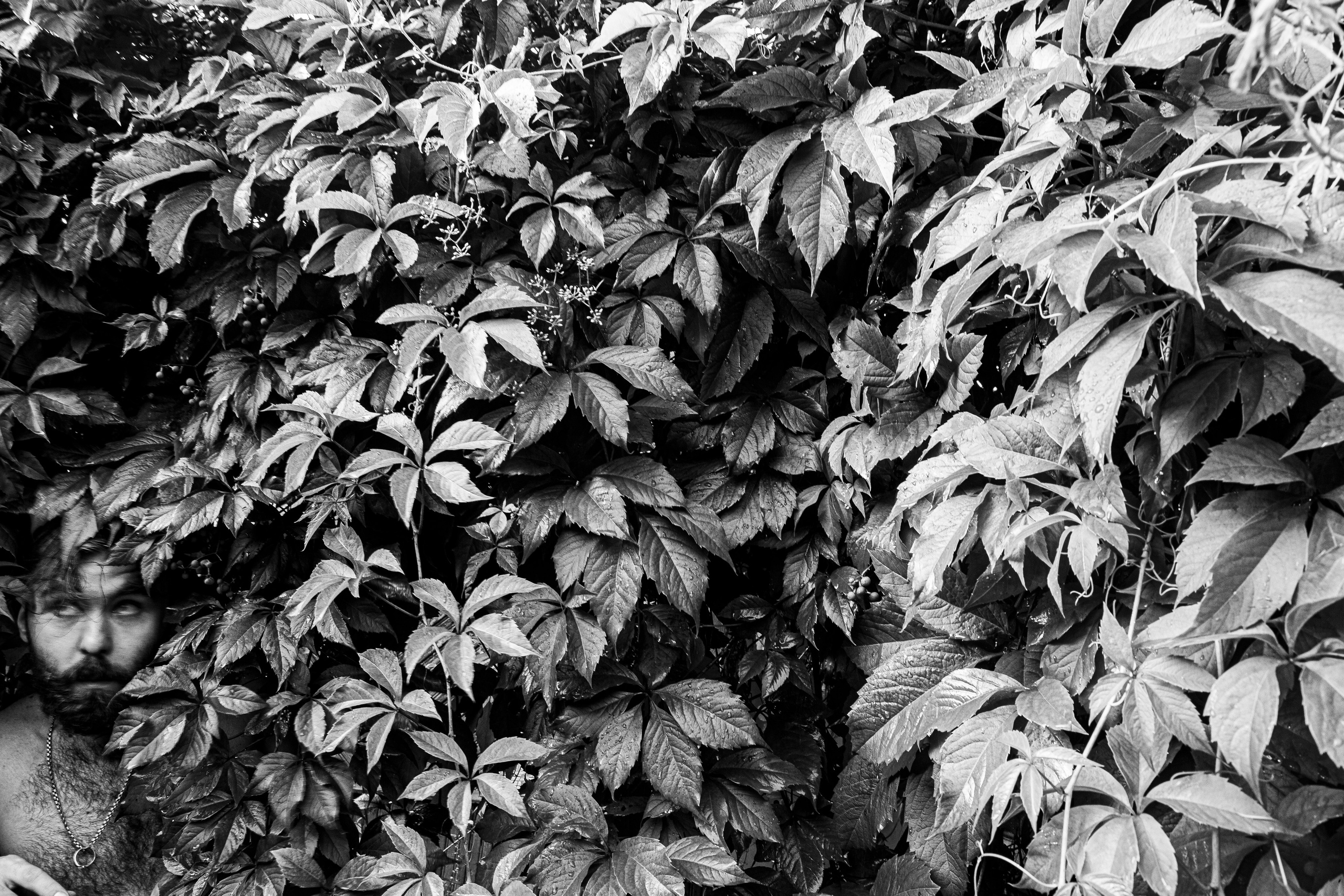 Коля. Черно-белый фотограф Дмитрий Пчелкин