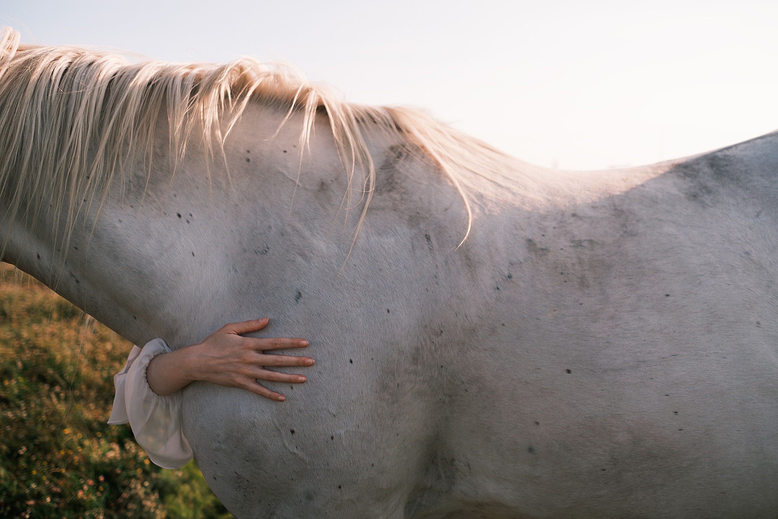 Лера. Глеб Долгов  — Фотограф в Санкт-Петербурге