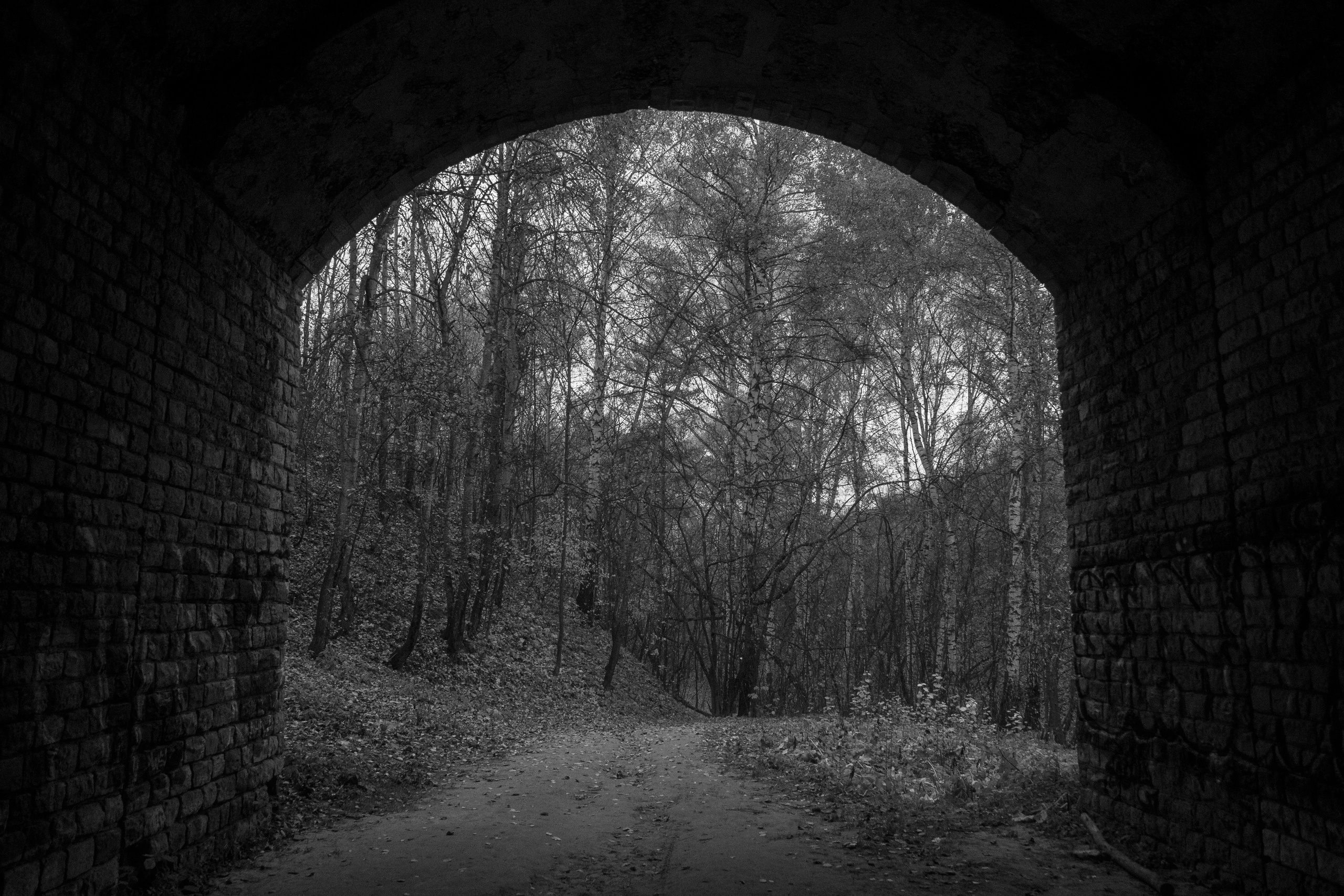 Русско-Немецкая Швейцария. Арсений Марасинский — фотограф в Казани