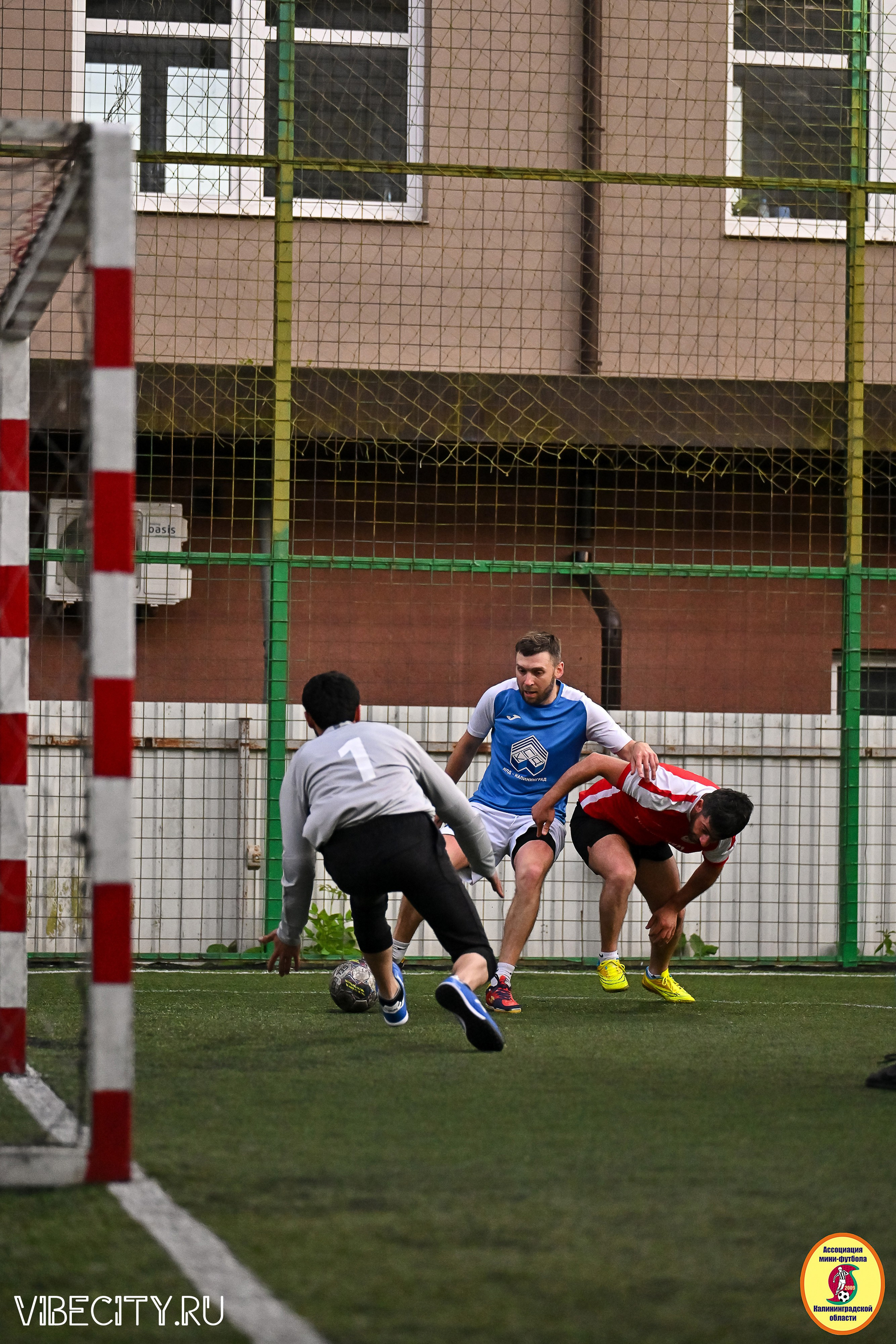ИГРЫ МИНИ-ФУТБОЛЬНОЙ И КОРПОРАТИВНОЙ ЛИГИ. VIBECITY.RU Вайб Сити Ру Фоторепортажи Фотоотчеты Калининград
