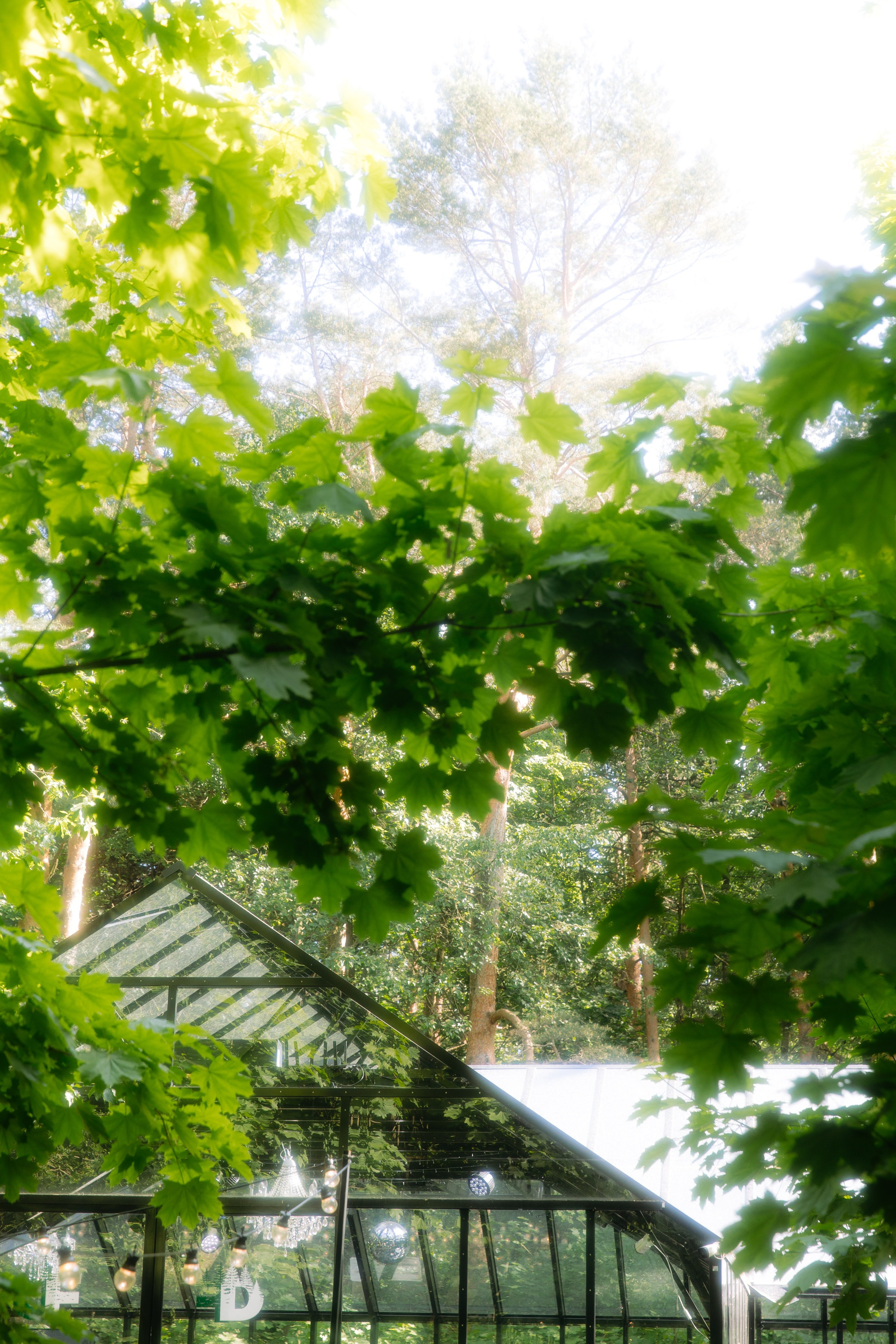 Анна и Сергей. Свадебный и портретный фотограф в Москве и Санкт-Петербурге