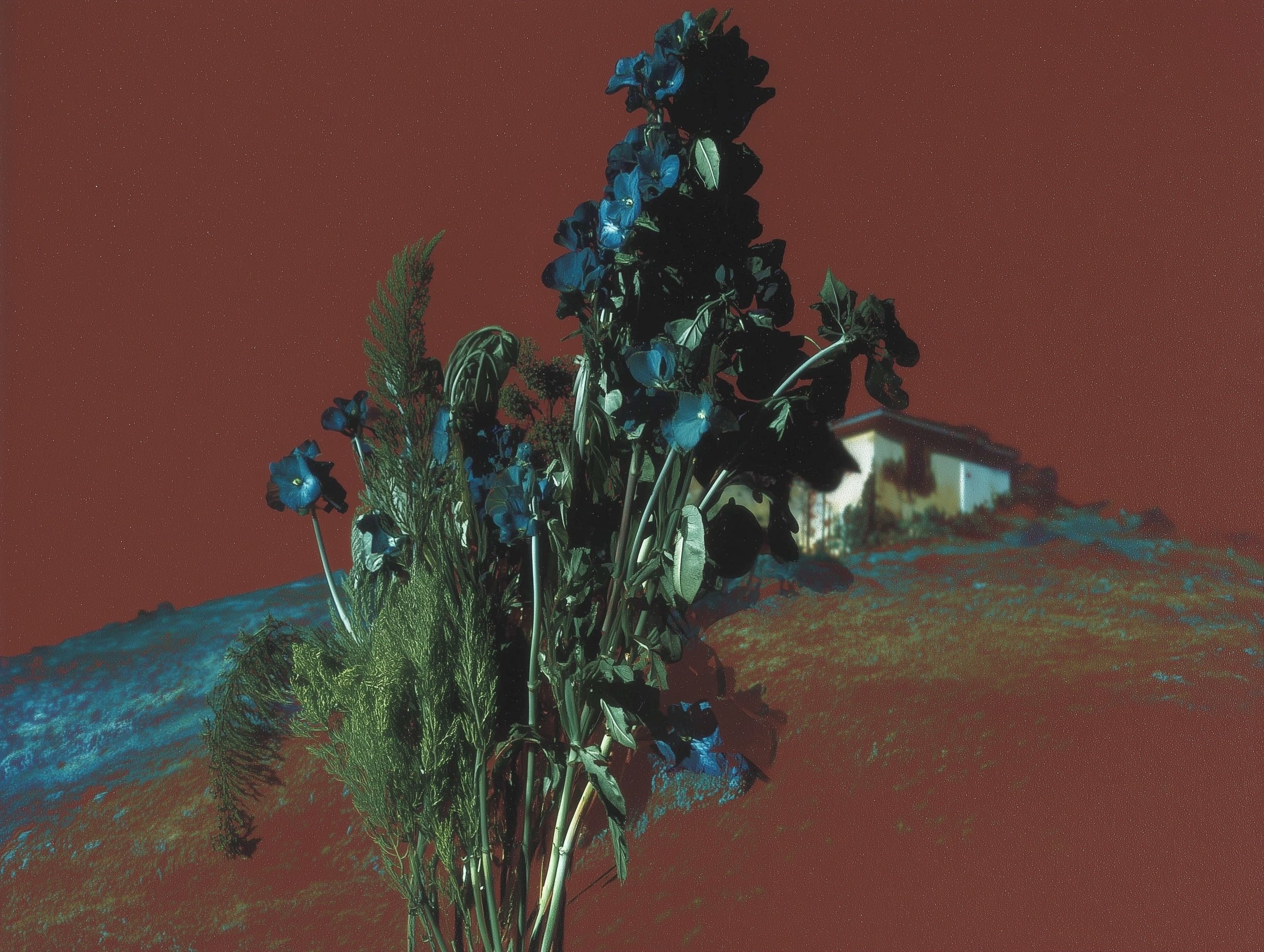 Нейро-креатив. Репортажная и портретная фотосъёмка