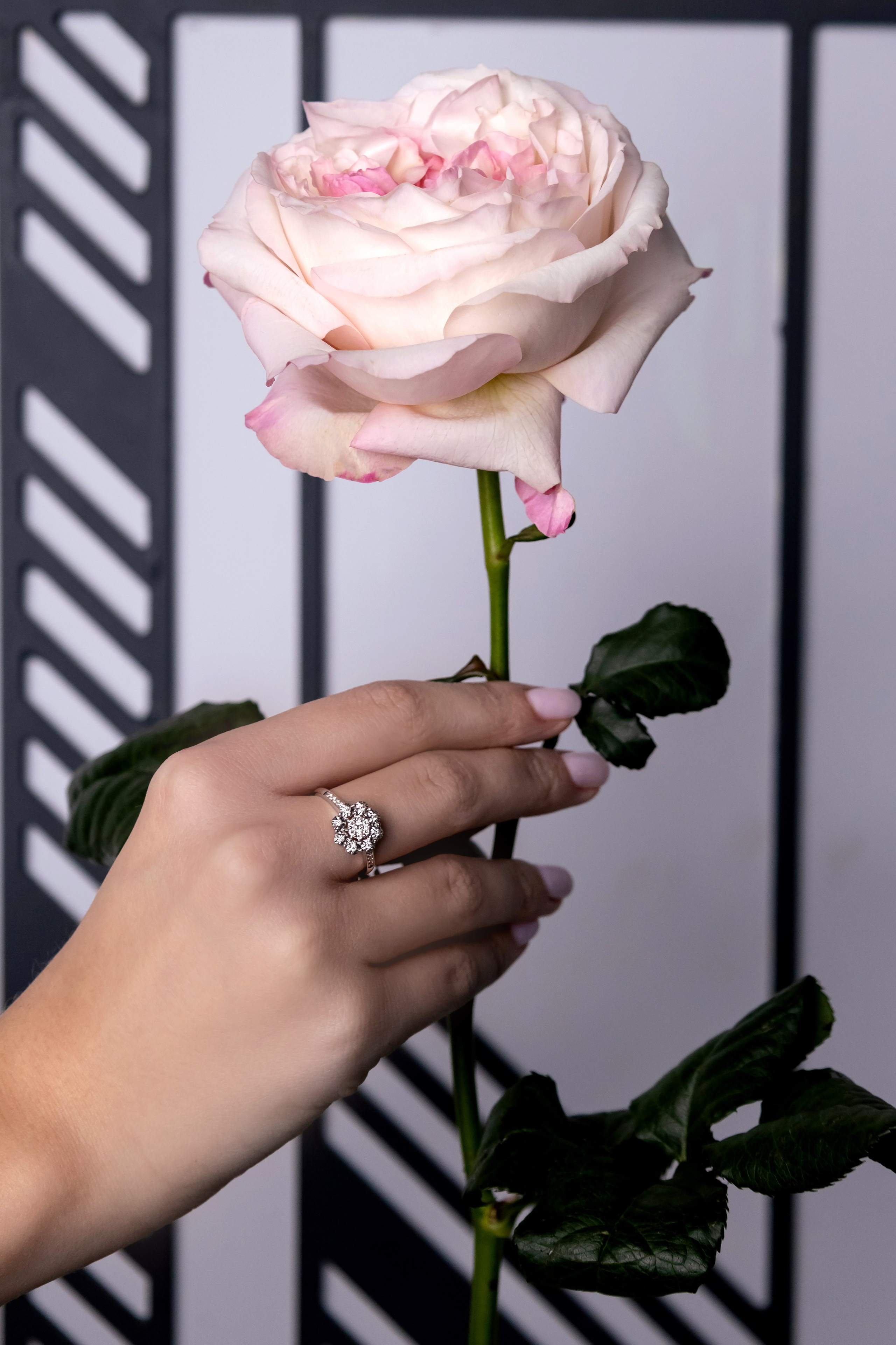 Ювелирные украшения Klondike. Фотограф Полина Закирова