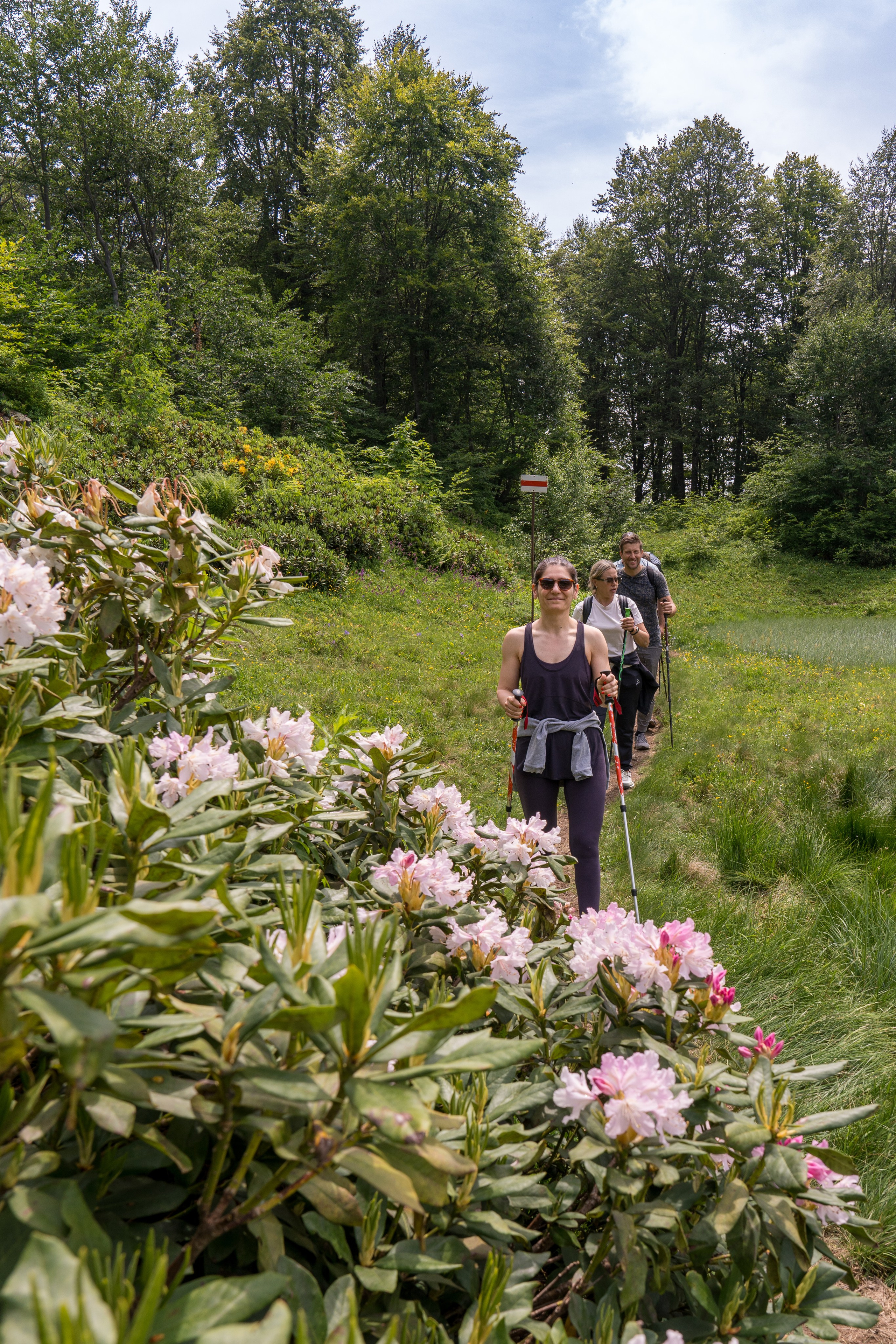 MICE мероприятие для компании «Доставка морем»: хайкинг к Ачипсинским водопадам. Репортажный фотограф в Красной Поляне и Сочи Павлюченко Екатерина