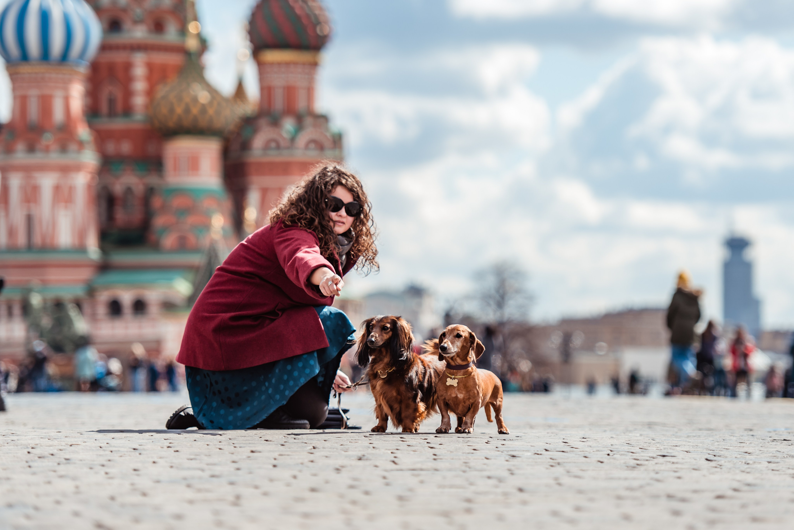 Таксы на Красной площади. Семейный Фотограф в Москве Ирина Хохлова