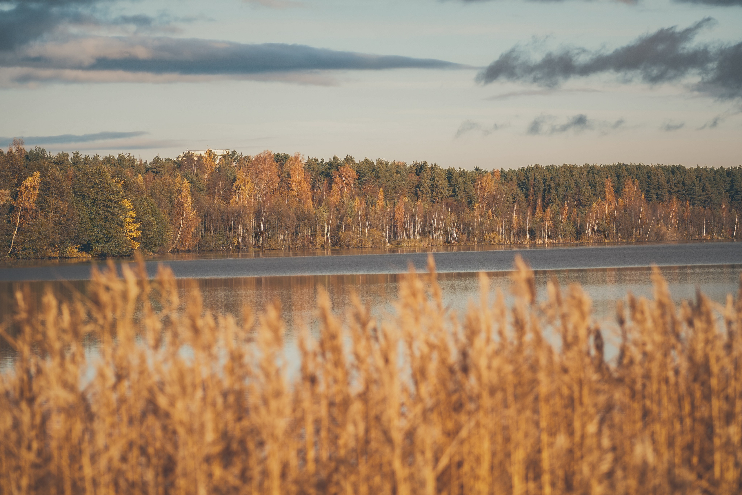 Другое. Свадебный фотограф Копков Геннадий