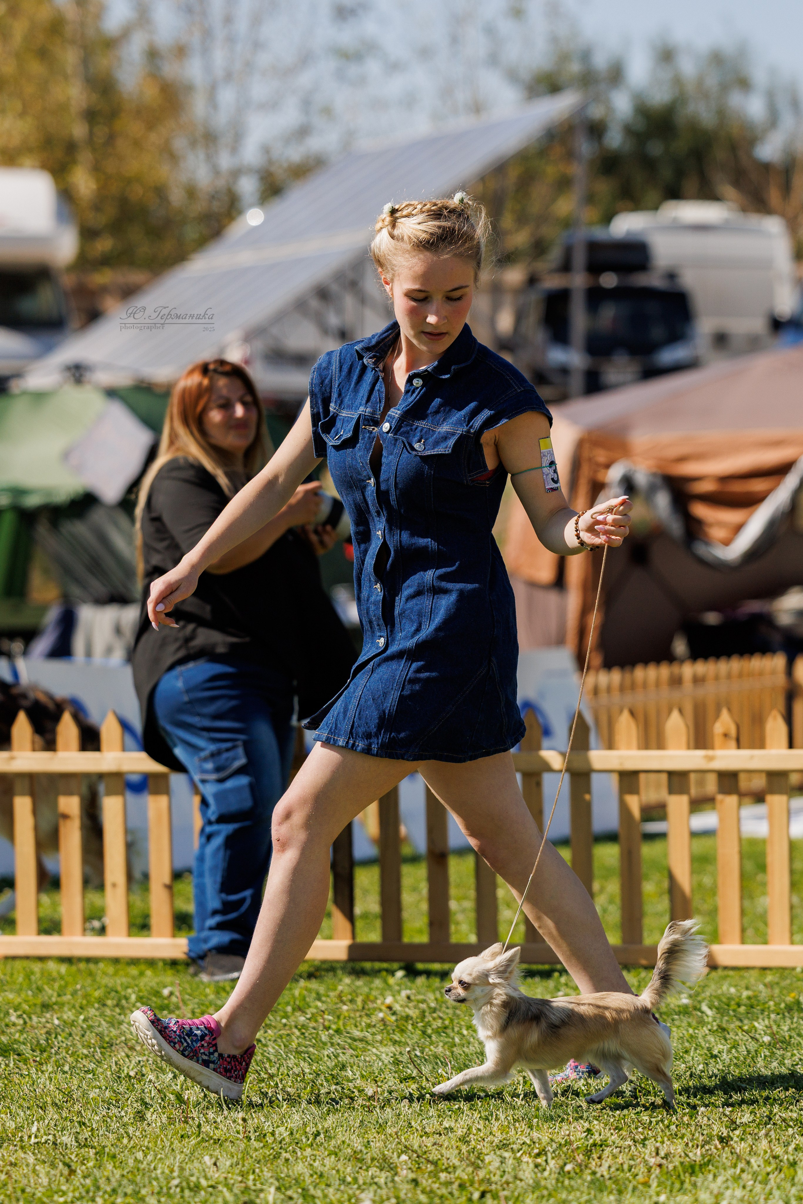 Ереван 14-16.10.2025. Фотограф-анималист Юлия Германика