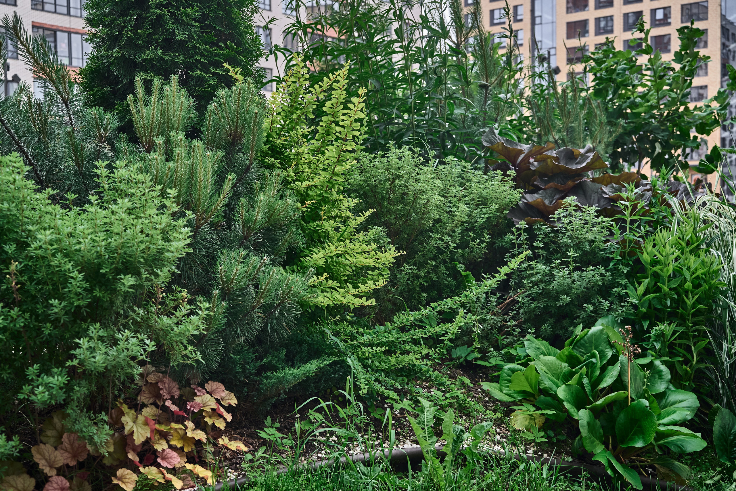 КВАРТИРЫ. Интерьерный фотограф