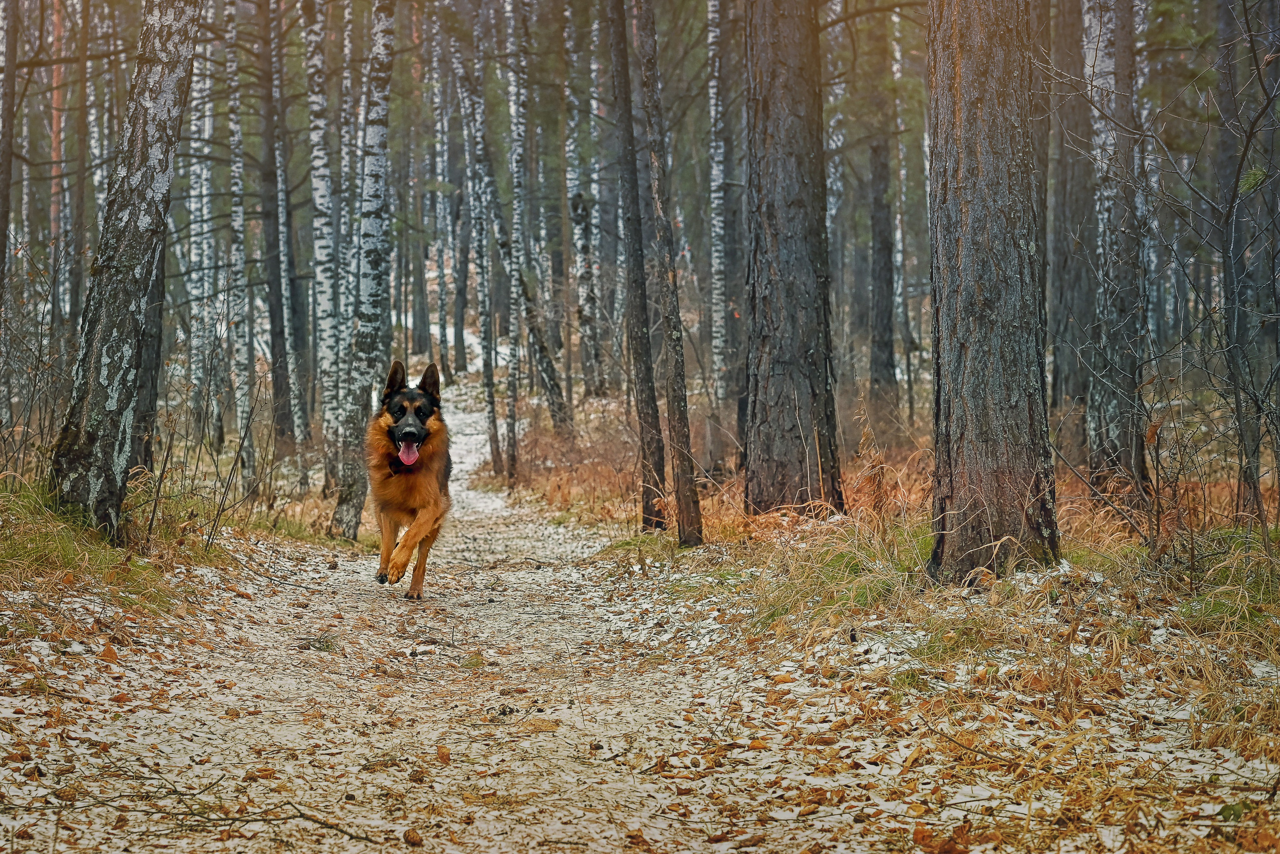 Ирина и Кантик. Фотографы крещения/венчания  Красноярск Татьяна и Вячеслав Переваловы