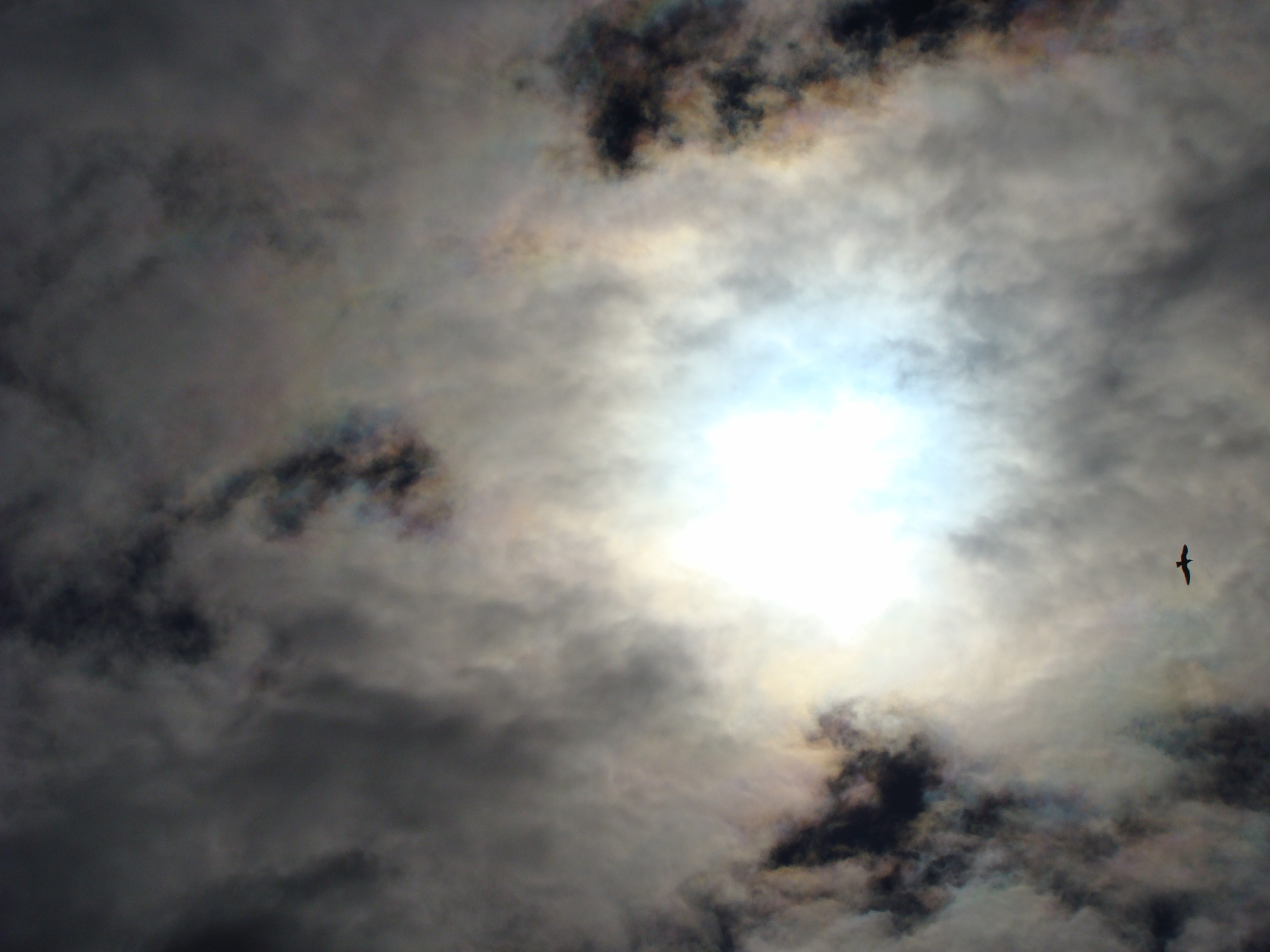 Кабардинка 25.07-01.08.2008. Семейный, Свадебный фотограф СПБ Питер— Романова Екатерина