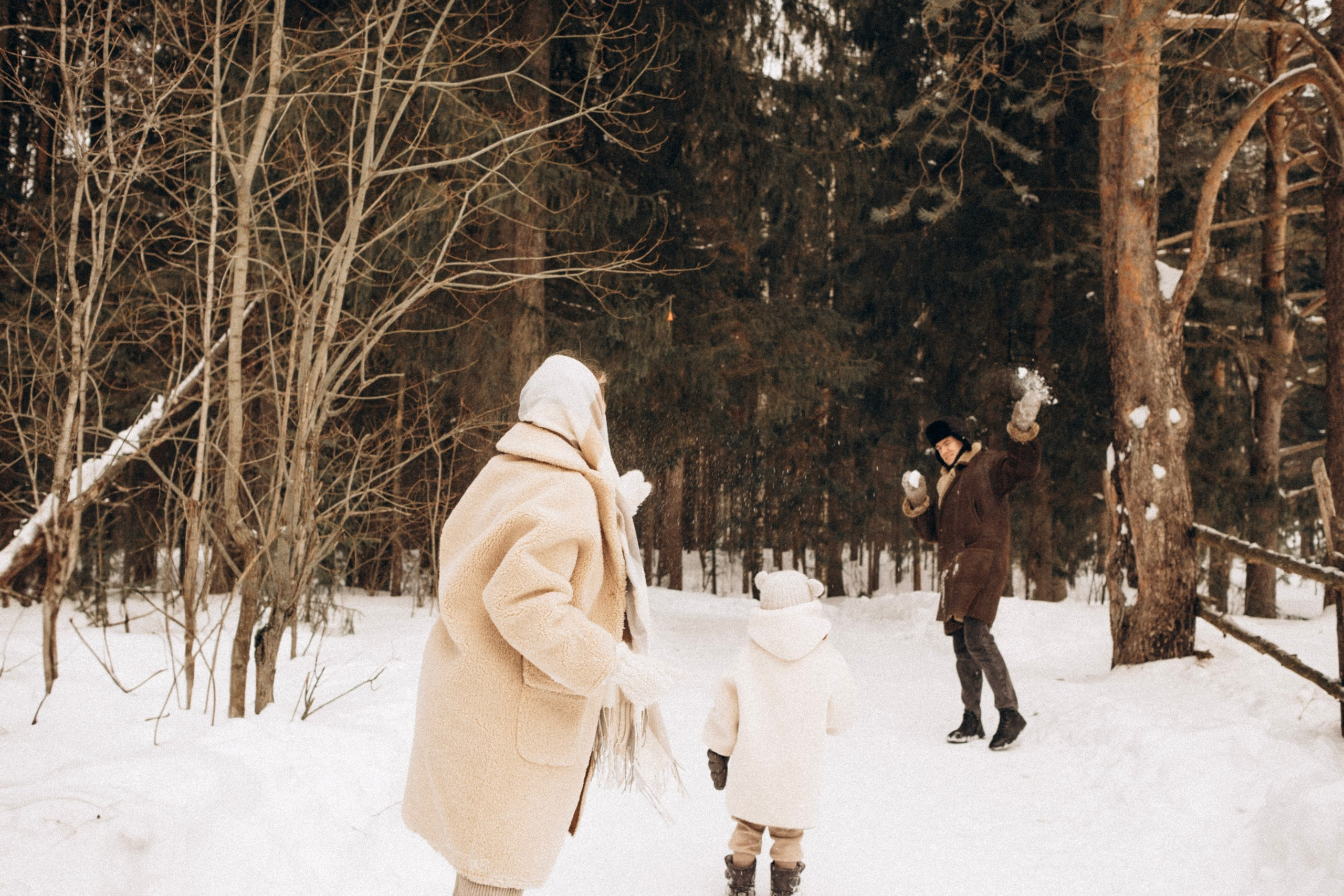 Зимняя история. Главная