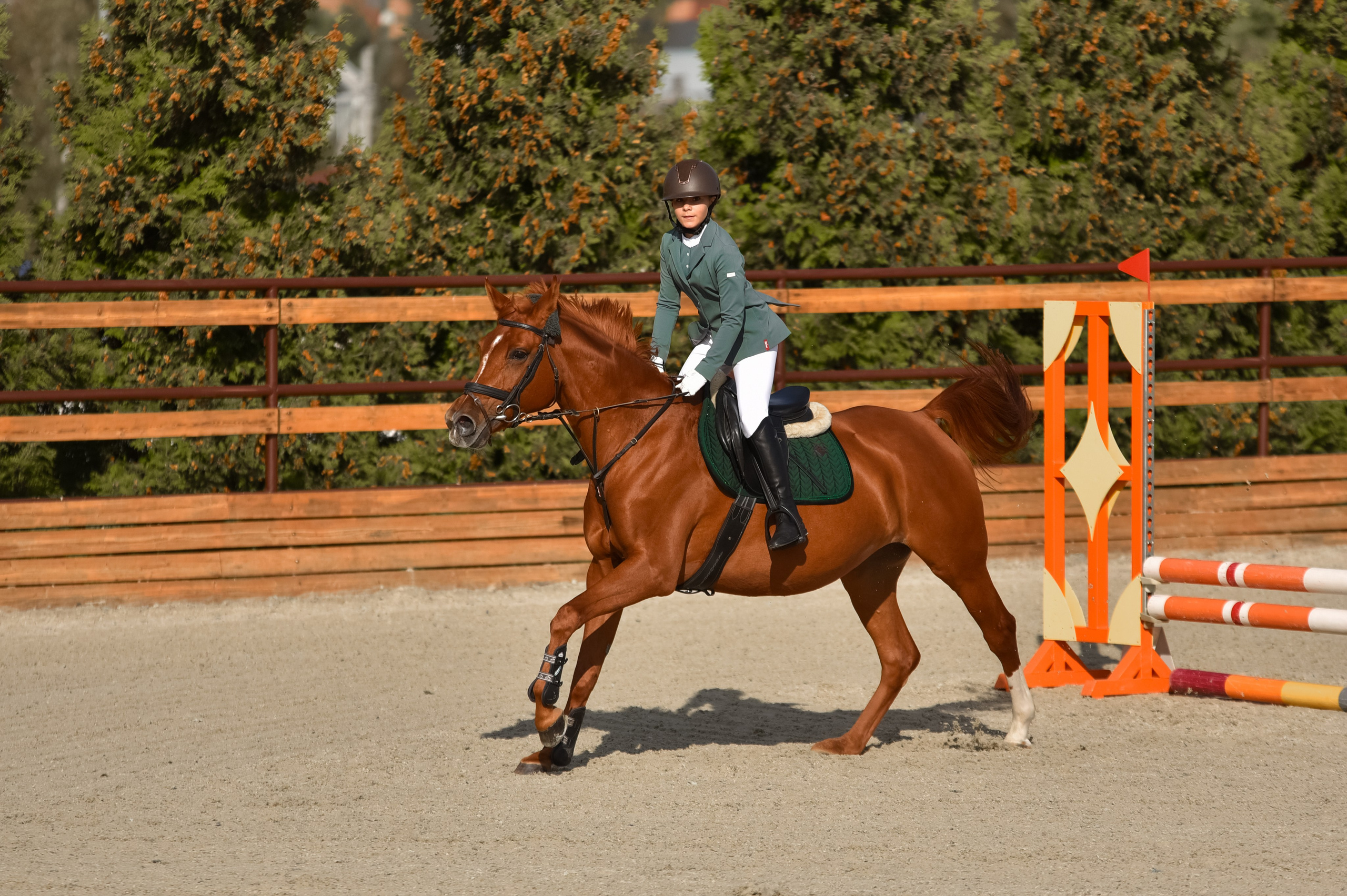 Репортажная съемка конных мероприятий. Конный фотограф из Москвы Ирина Бондаркова