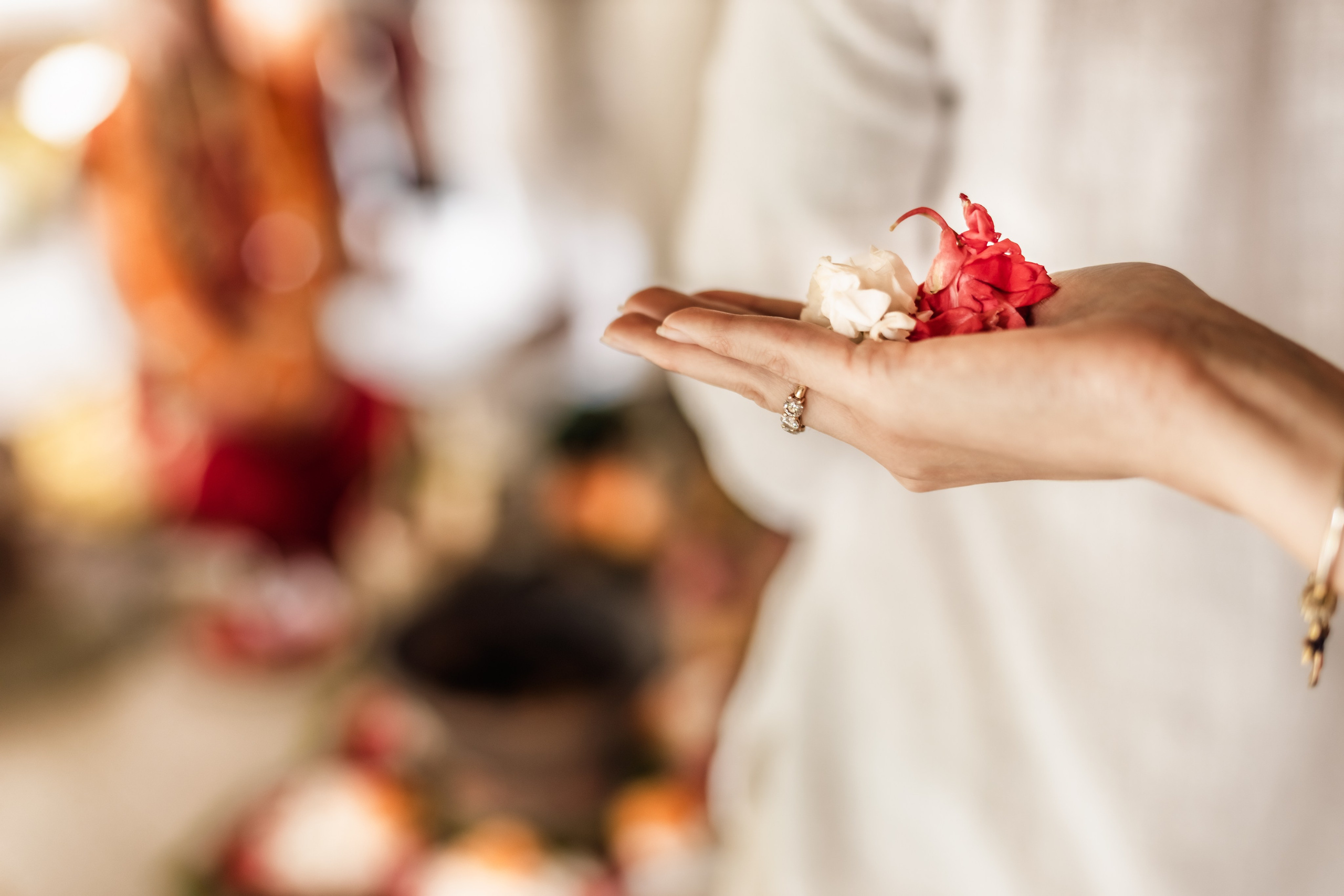 Wedding Karunika & Haridas. Mariam Bagdasaryan