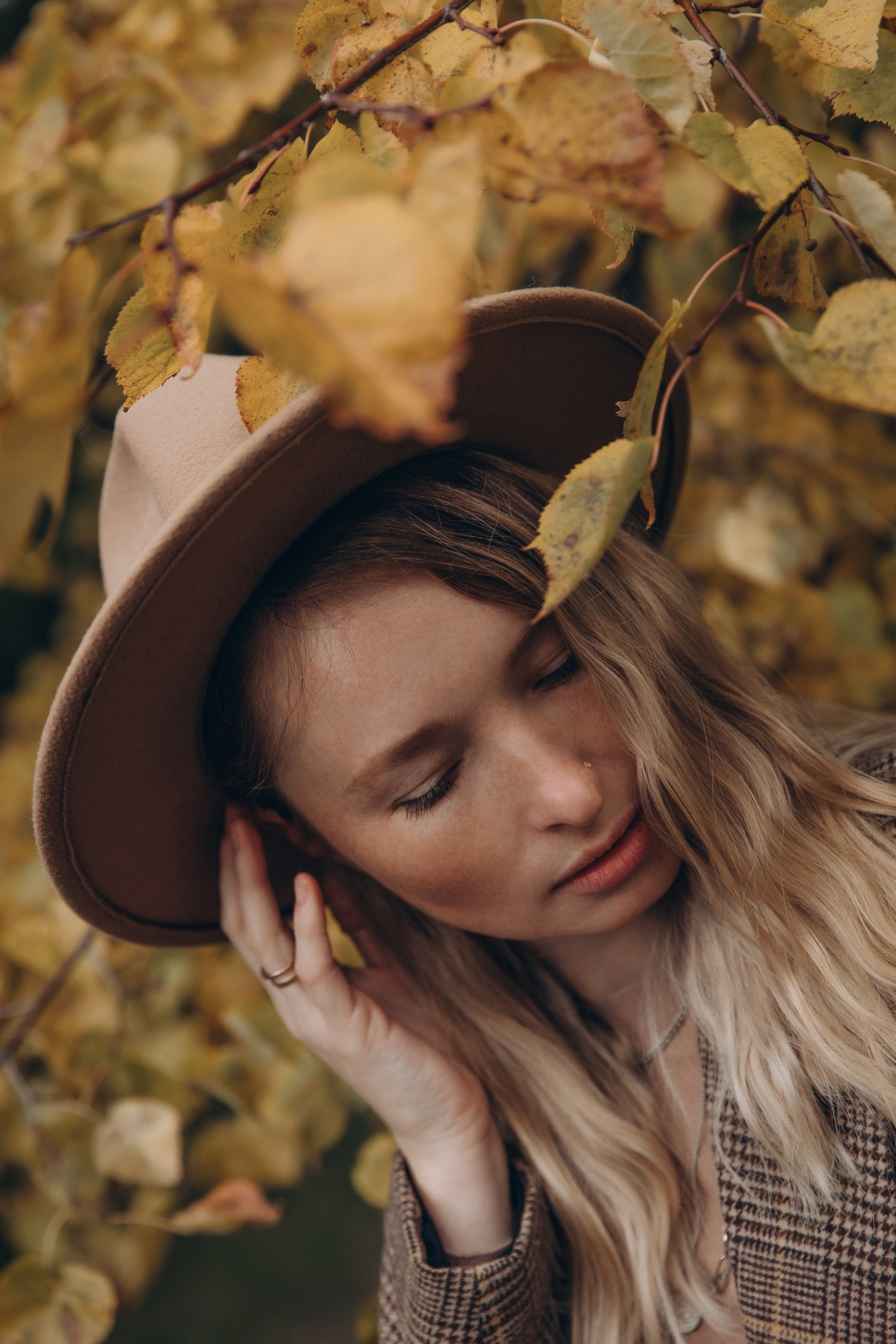 «Королевский Корги» 2. Фотограф Алина Ионычева в Новосибирске