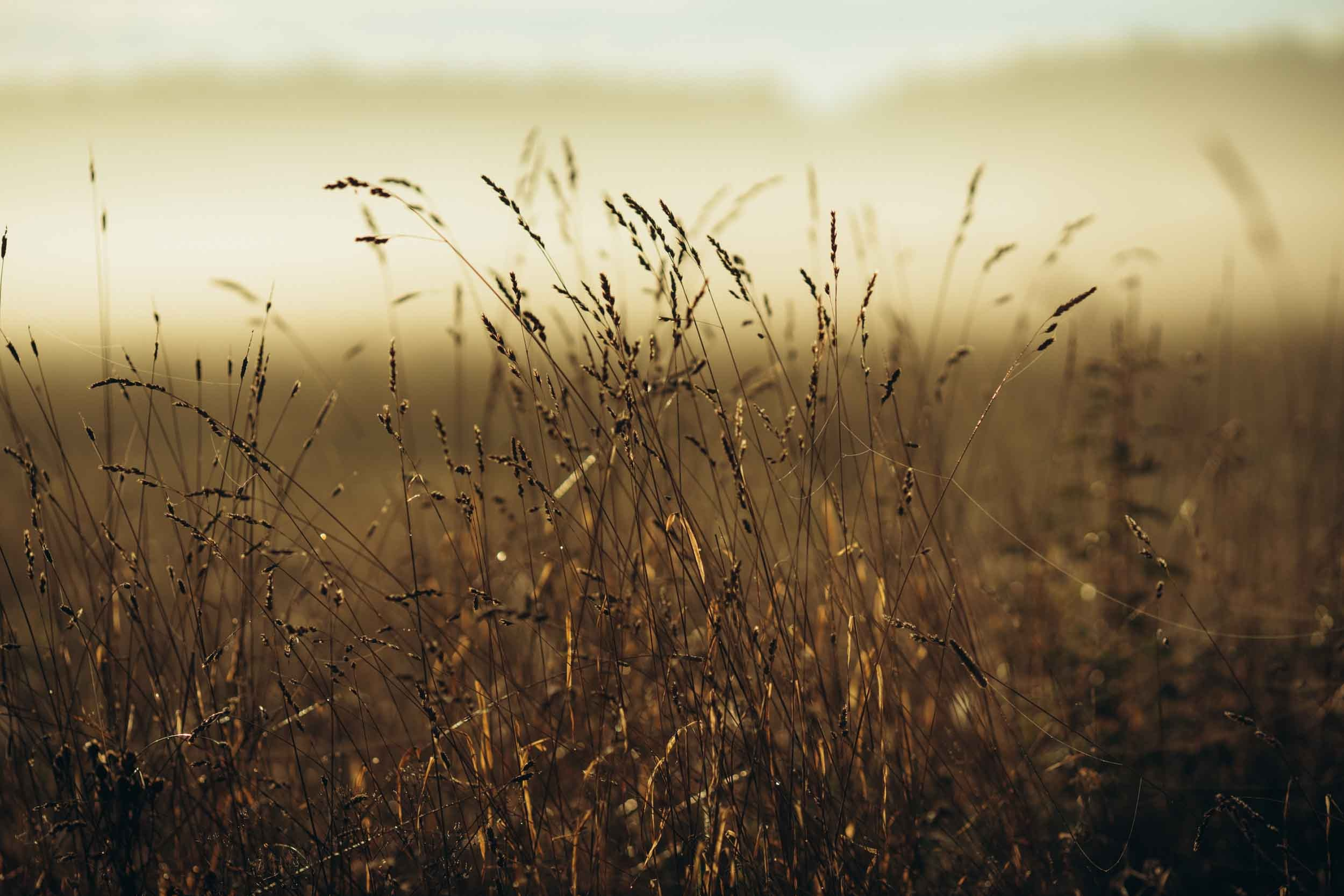 Природные пейзажи. Наталия Клевинскас портретный фотограф в Костроме