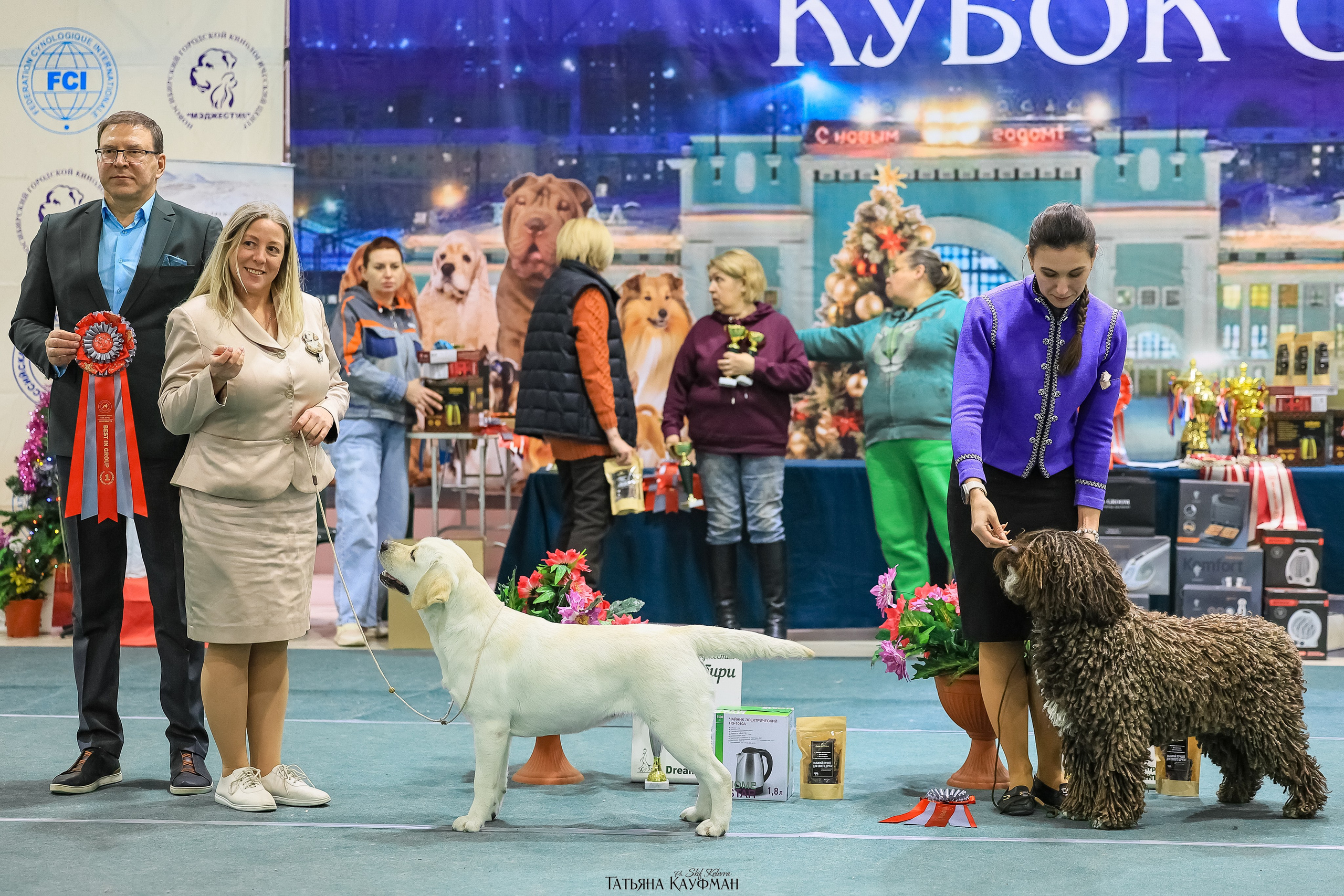 6-7.12.25 — 1-4 Национальные выставки собак в Новосибирске (2х рейтинговые). Фотограф Анималист из Новосибирска Татьяна Кауфман