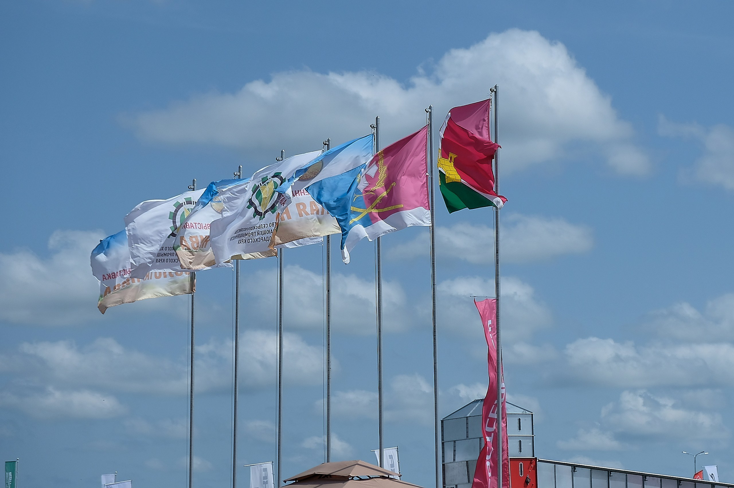 Золотая нива 2024. Предметный фотограф в Краснодаре