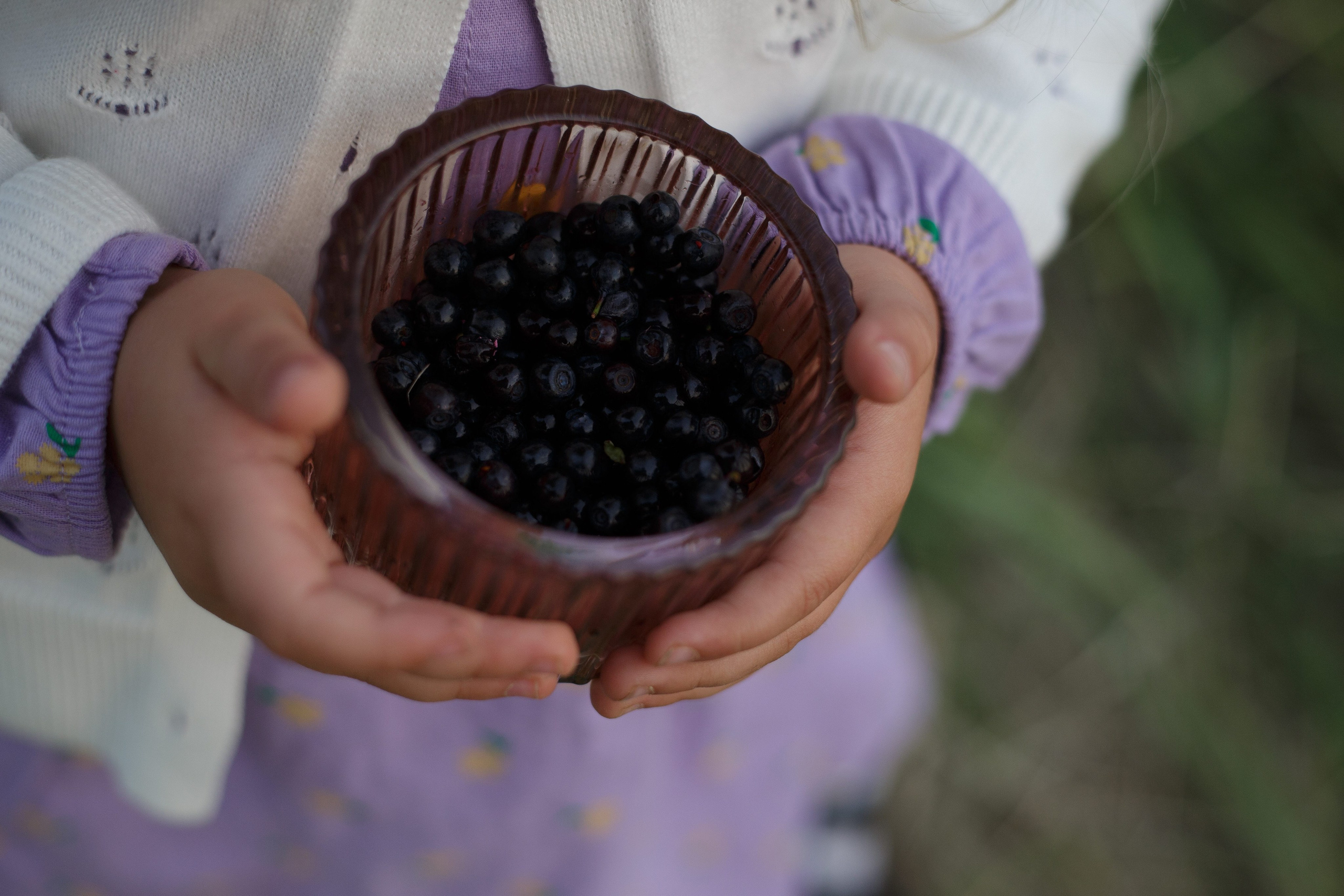Семейная фотосъемка в поле летом 2023. Марина Рерих — портретный фотограф в Екатеринбурге