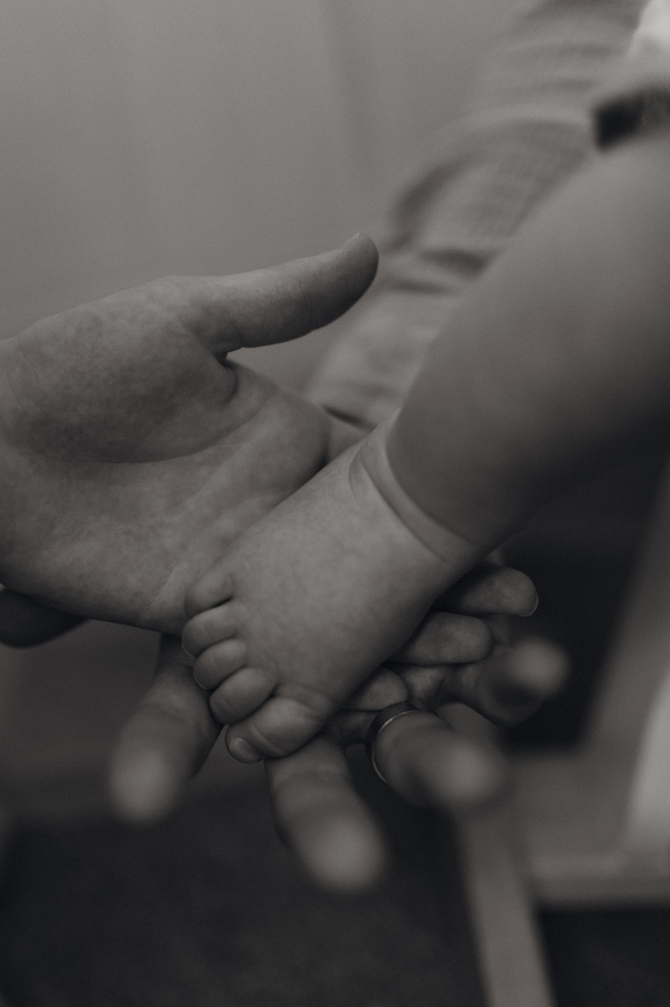 Ульяна, Яша и Лия. Домашняя история. Свадебный фотограф Москва и Санкт-Петербург. Анастасия Чудина