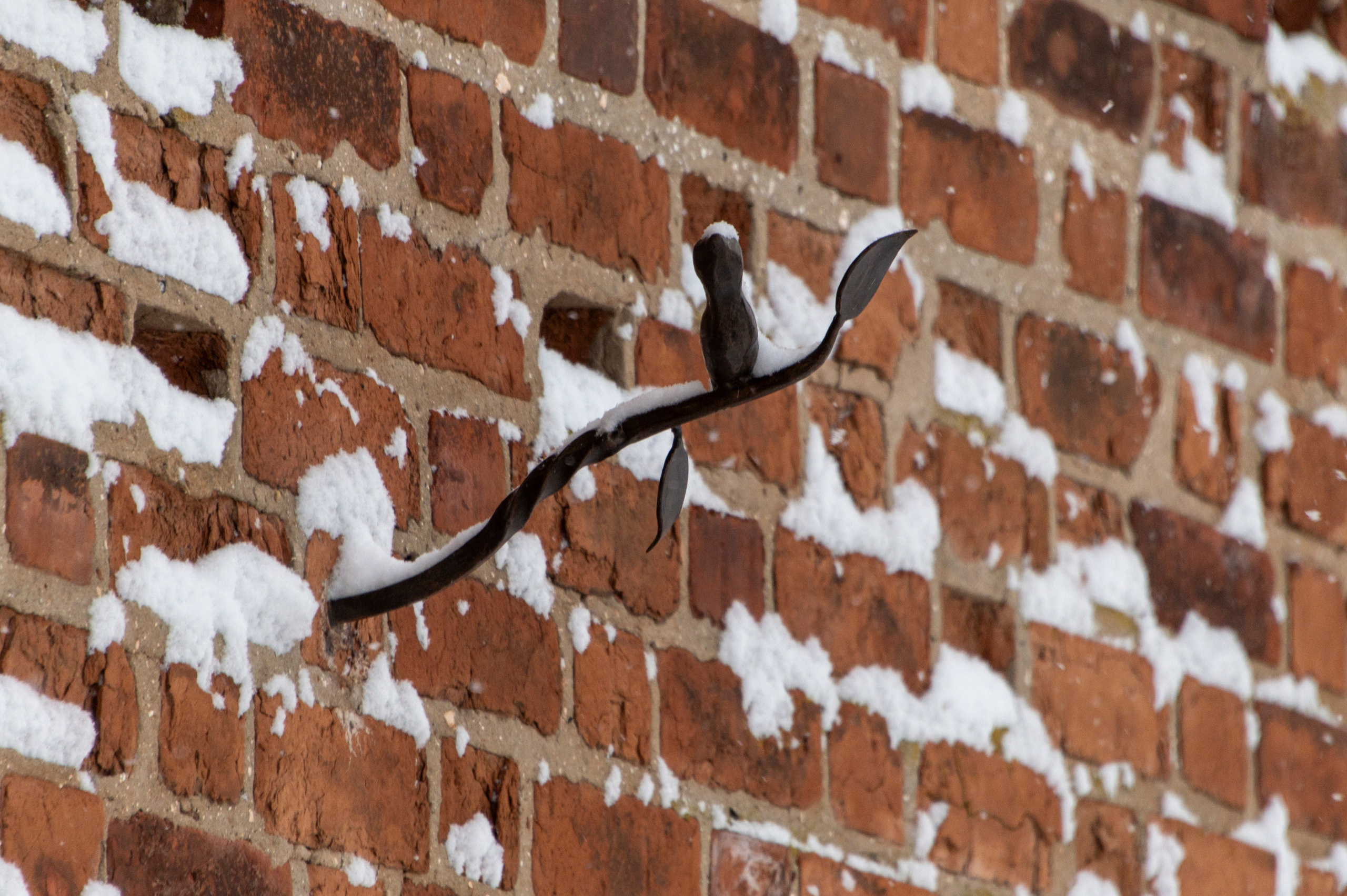Нижний Новгород. Январь 2024. Фотограф Роман Адлер