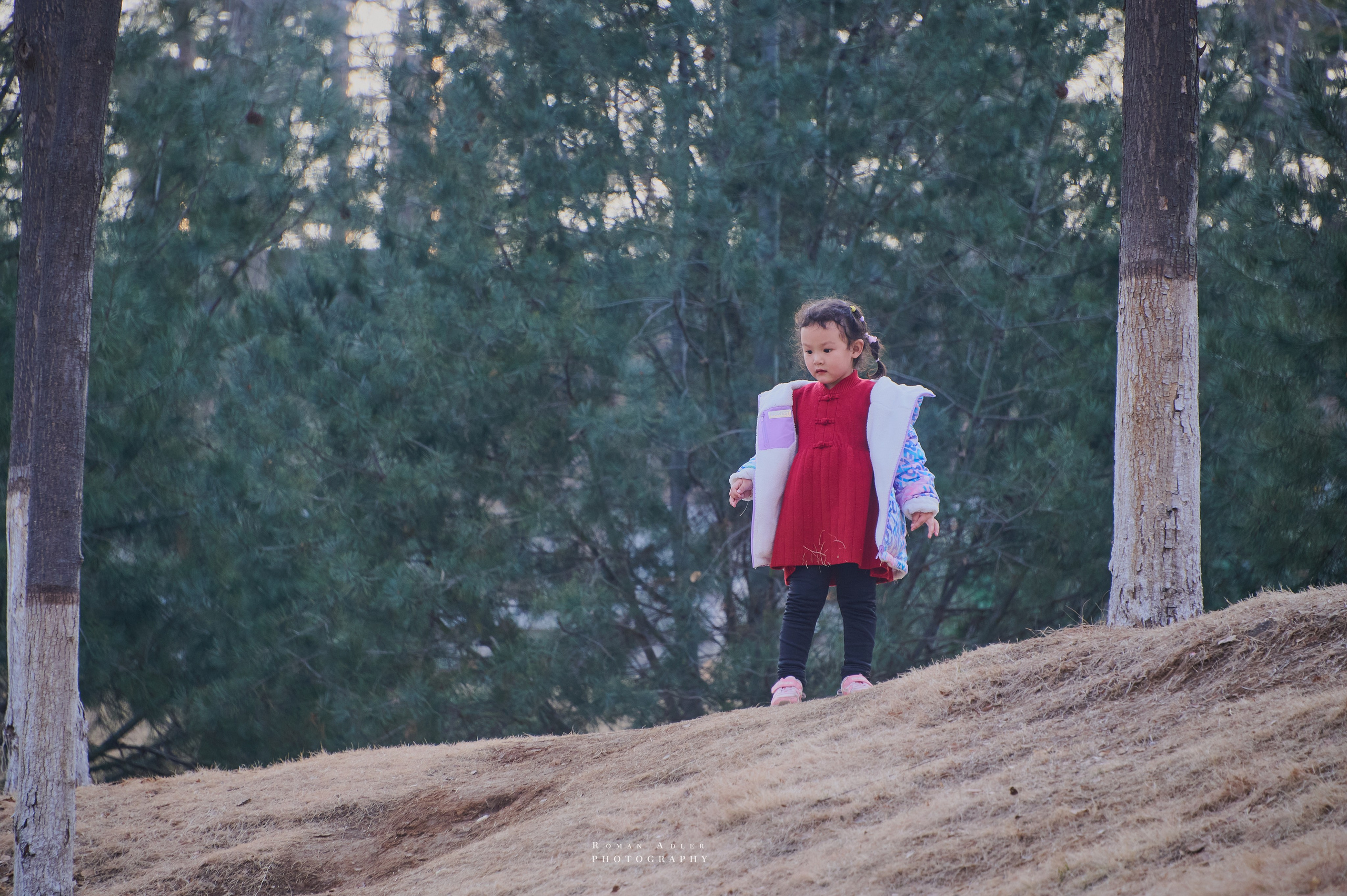 Городской парк Цинчжоу. Фотограф Роман Адлер