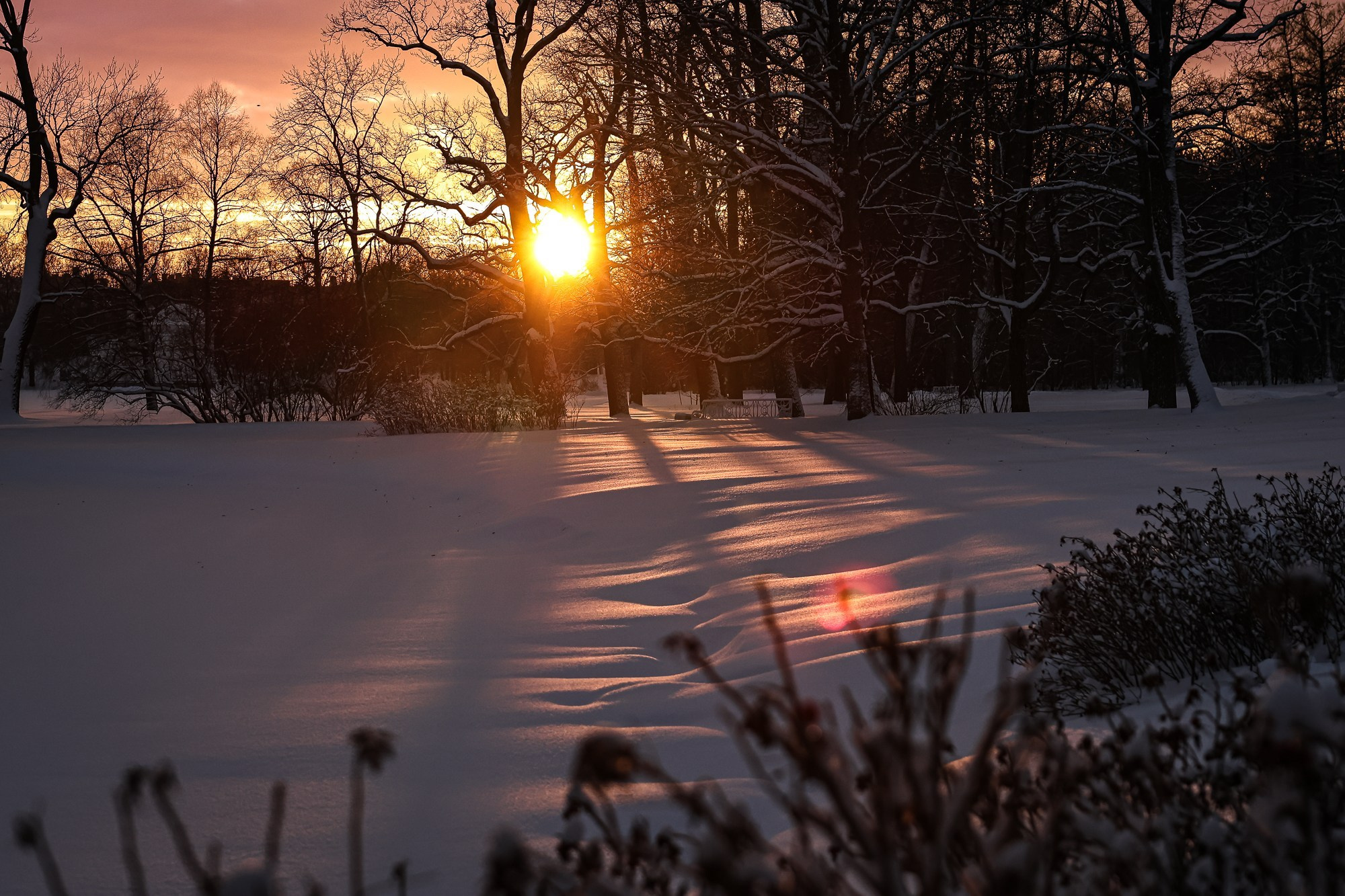 Город, деревня, улицы, дома…жизнь. Фотограф портретист в Санкт Петербурге Дроздова Алла
