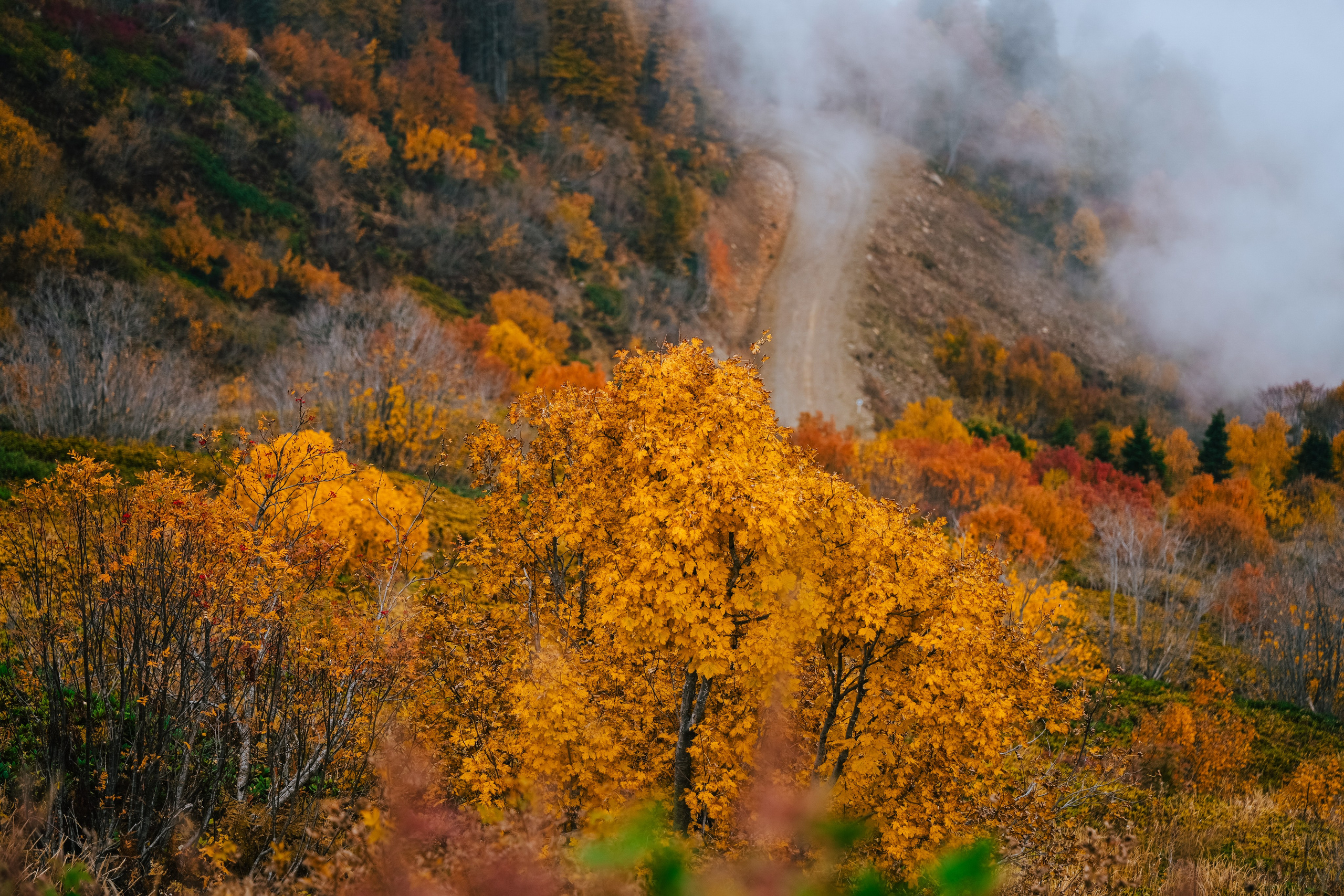 Роза Пик, тропа Турья ✽ Октябрь. Репортажный фотограф | Роза Хутор Красная Поляна Сочи Сириус