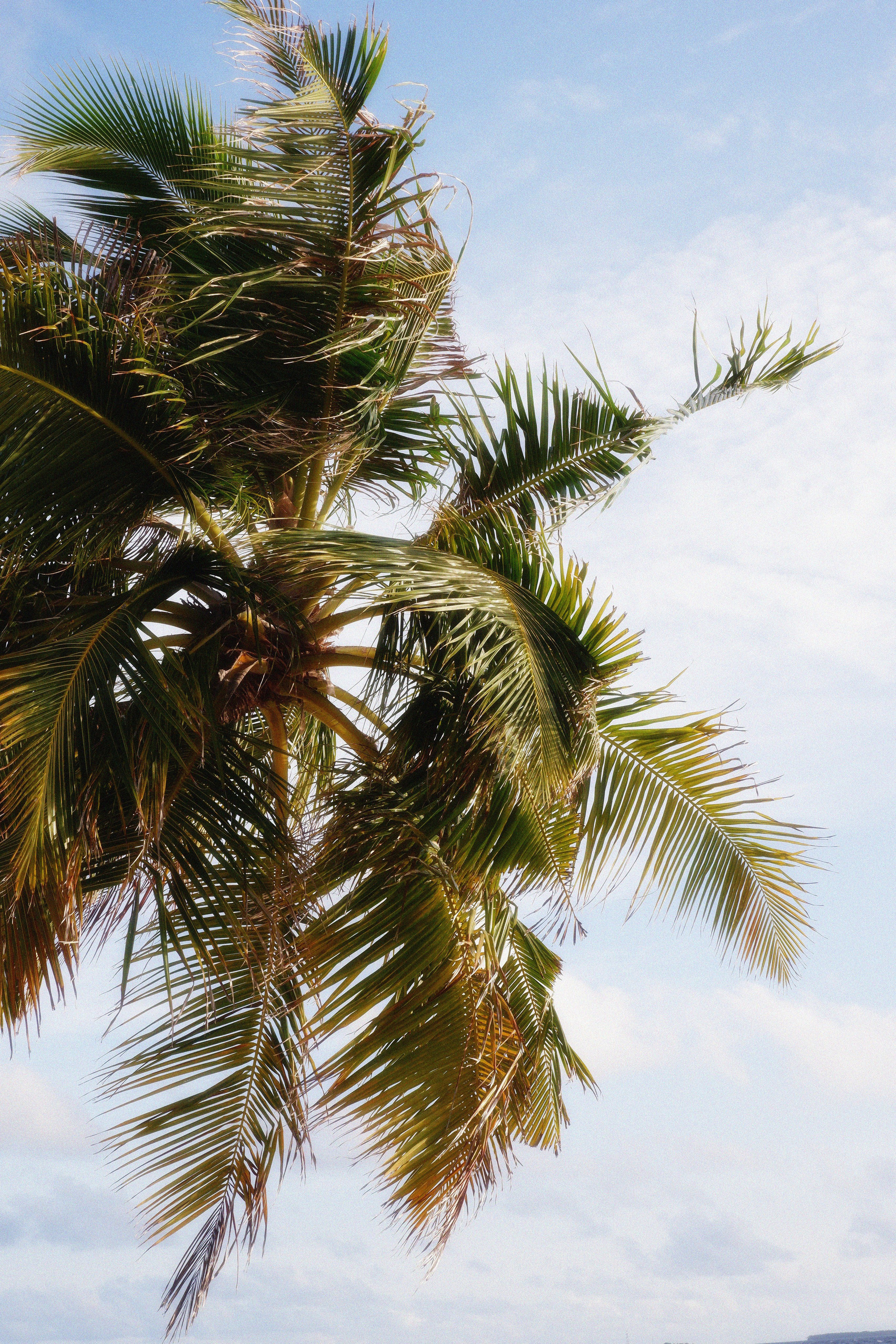 MALDIVES&BAHRAIN. ANNA — PHOTOGRAPHER