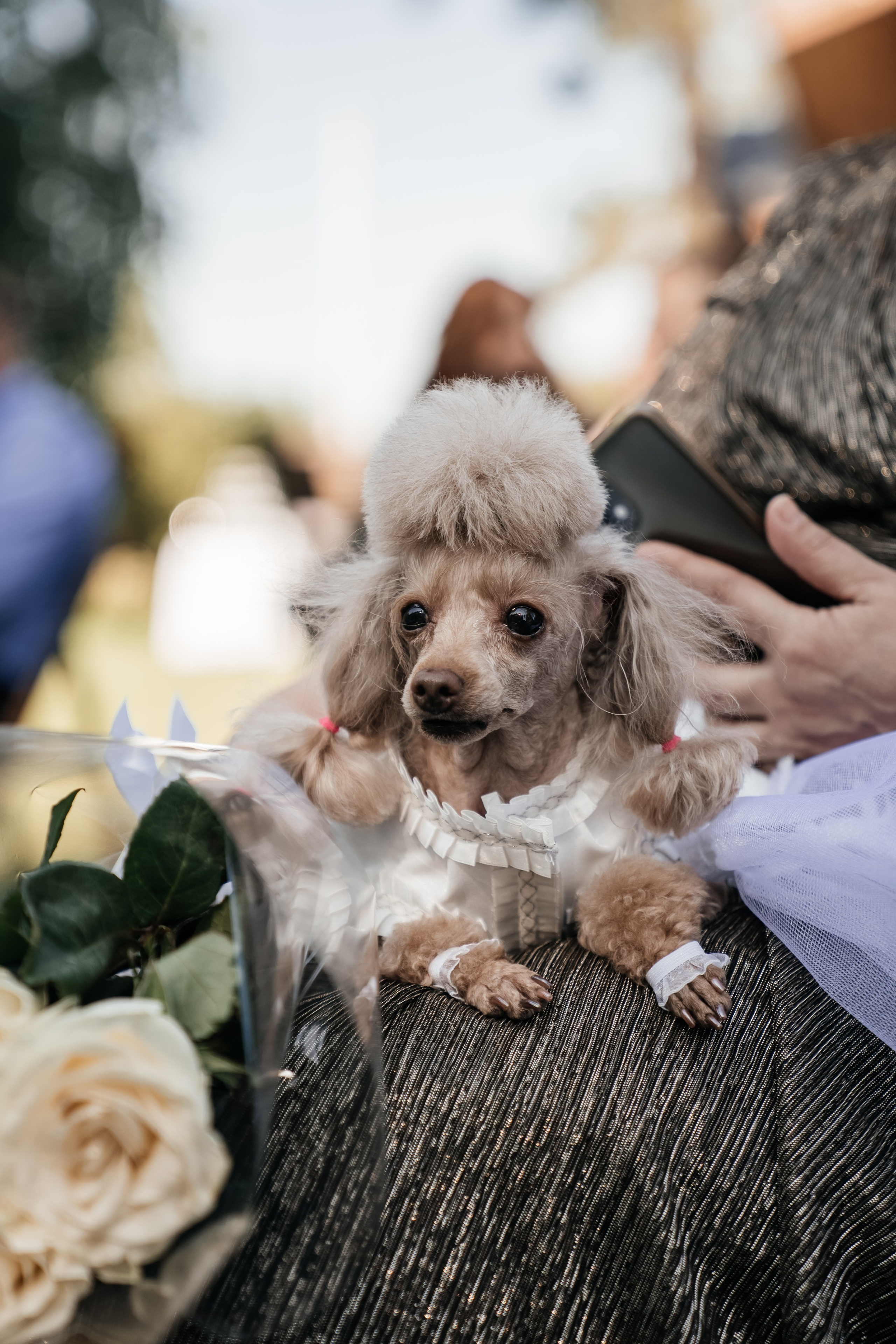 Антон и Евгения. Свадебный и семейный фотограф В Барнауле Нечаева Таня
