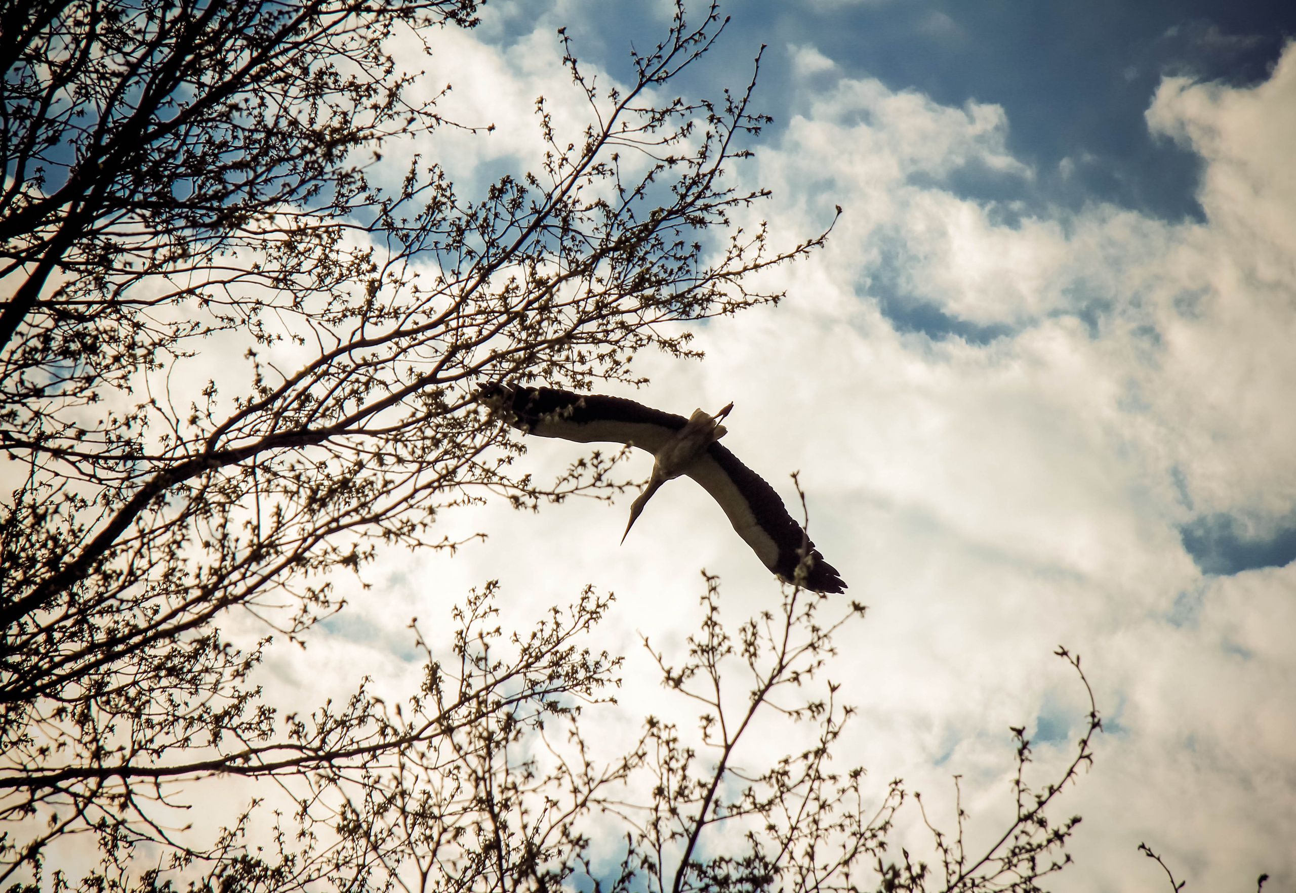 2013. Стрит-фотография, полная абсурда, идиотизма и красоты