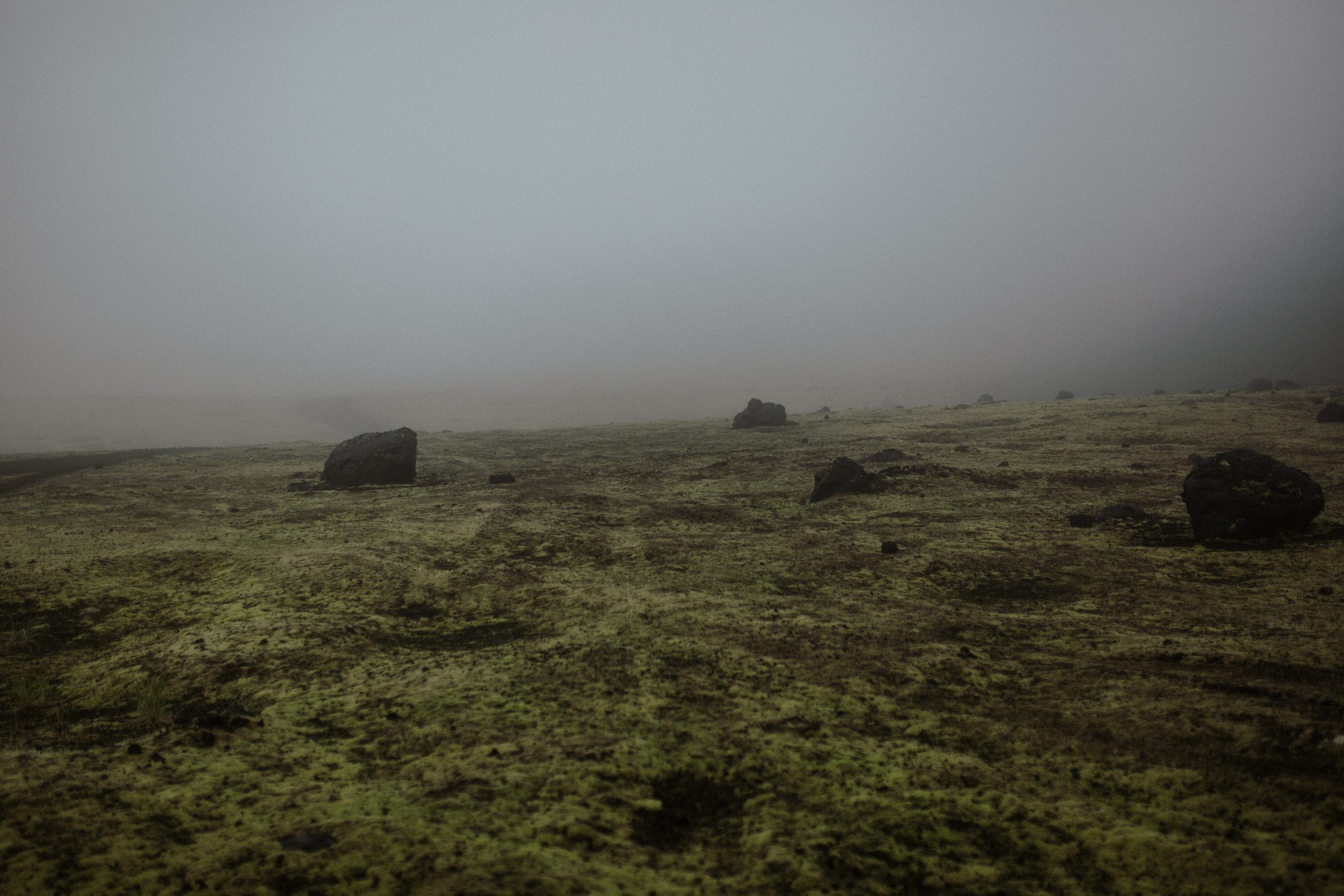 Толбачик. Свадебное фото и видео на Камчатке. Туристические маршруты
