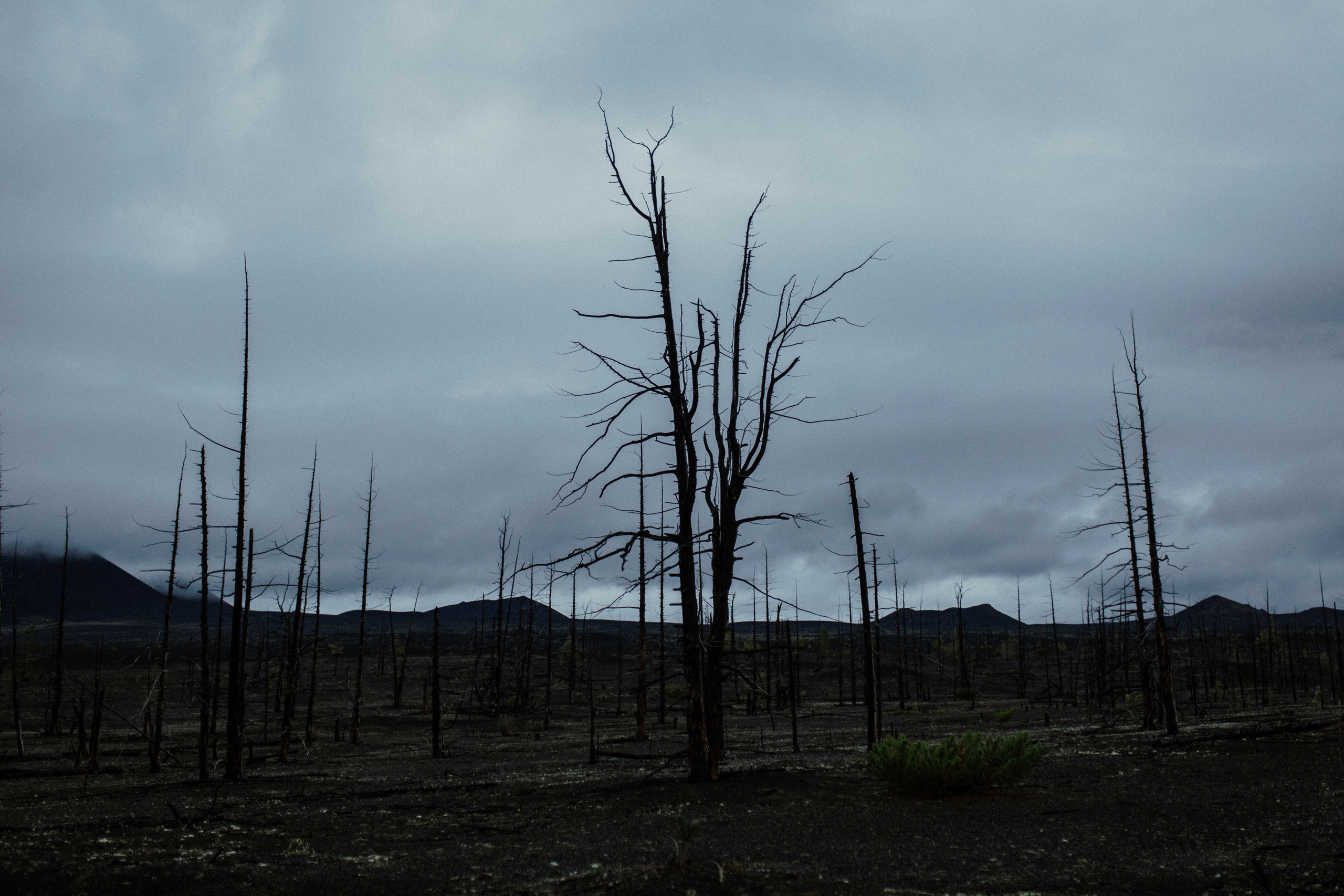 Толбачик. Свадебное фото и видео на Камчатке. Туристические маршруты