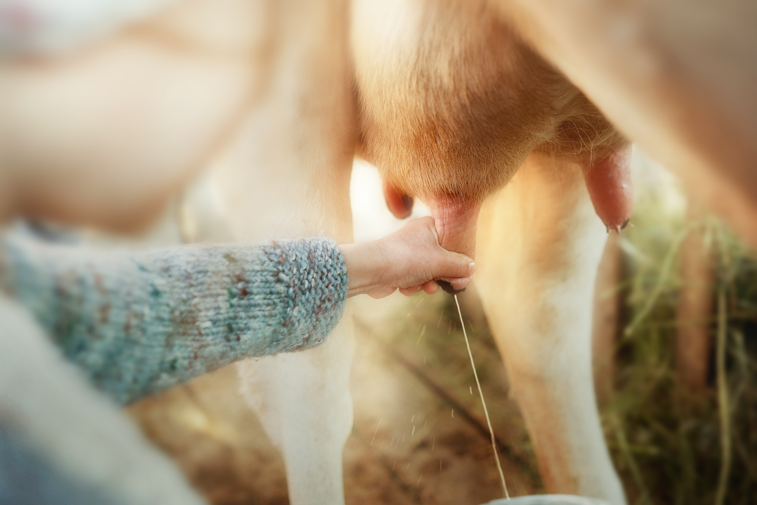 Детство. Главная