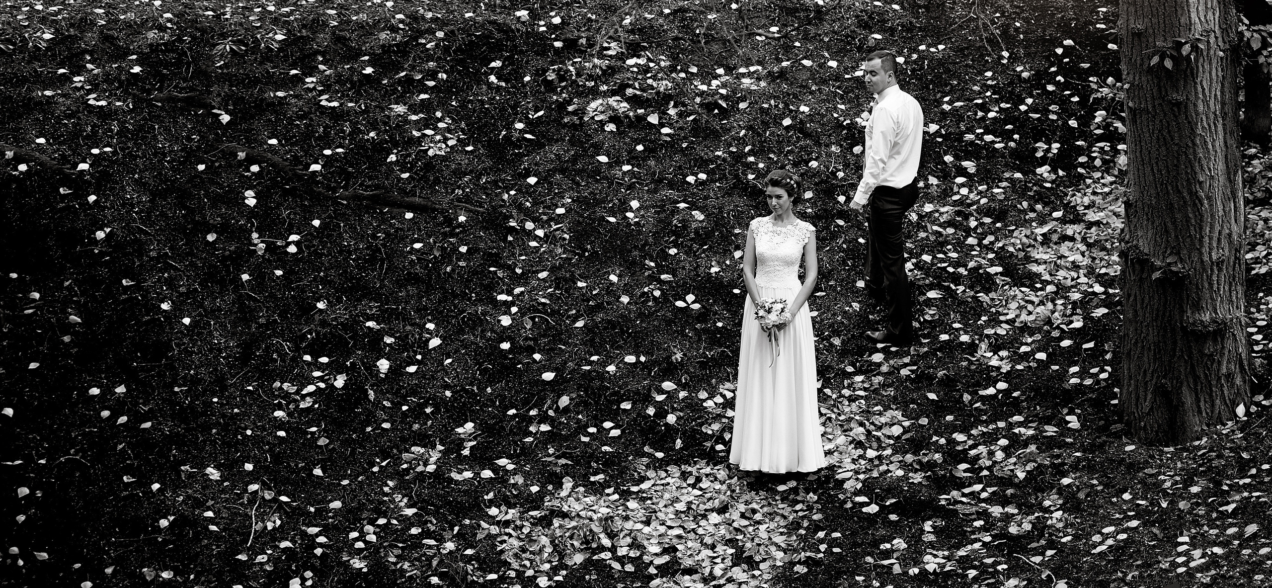 ЧЕРНО-БЕЛОЕ (свадьбы). Главная