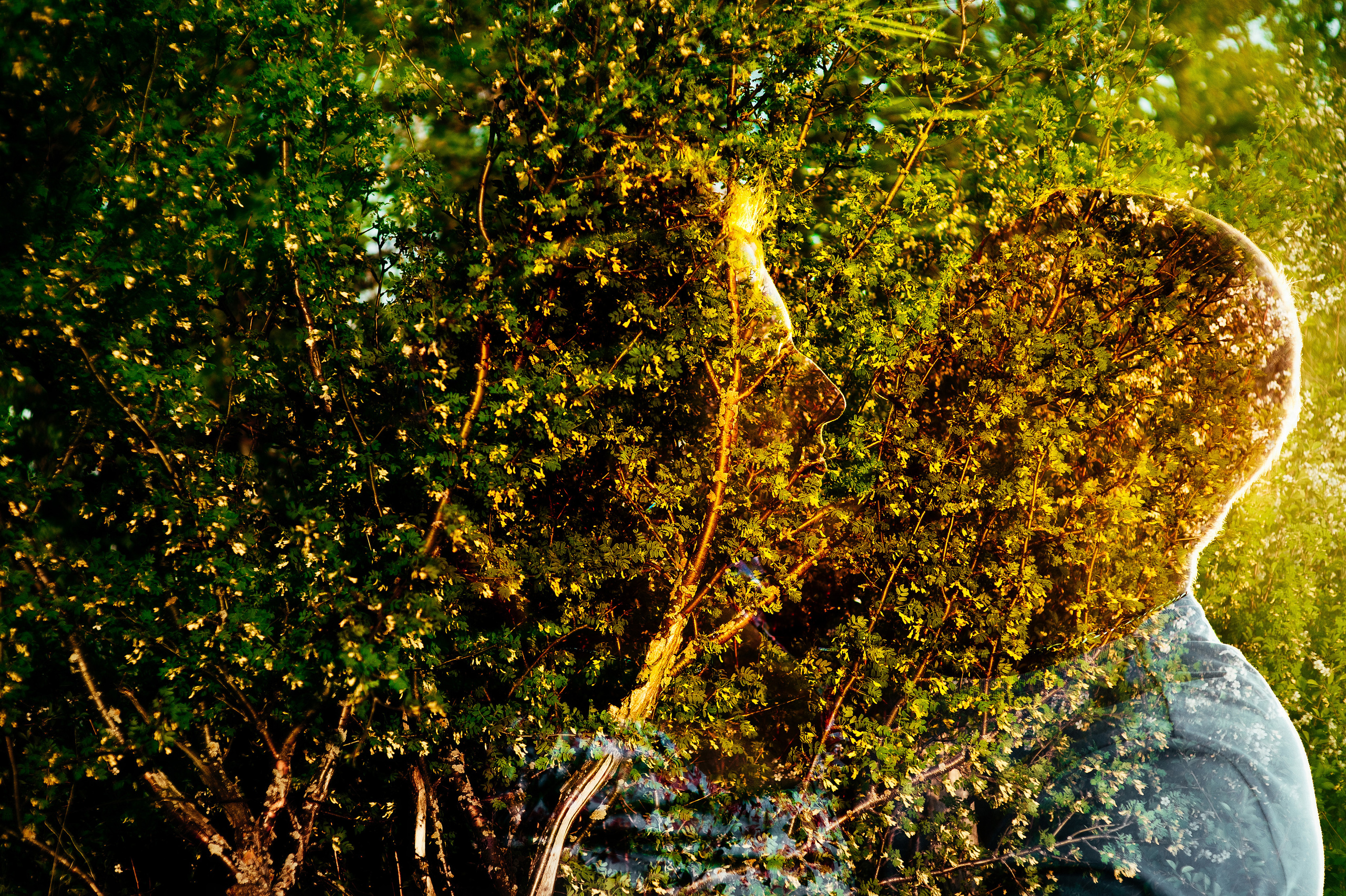 Сергей и Александра. Главная