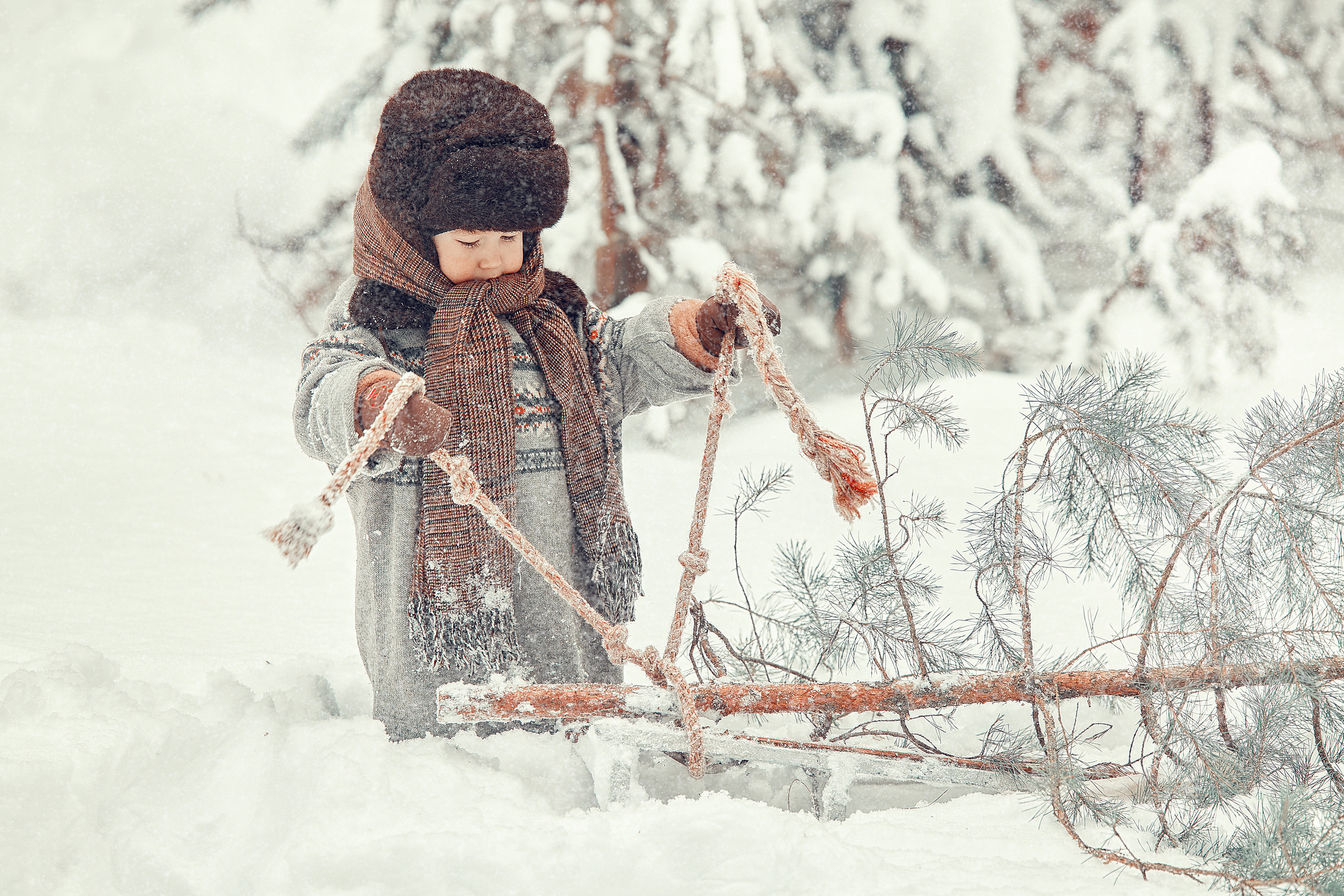 Мальчик, собака и елка. Главная