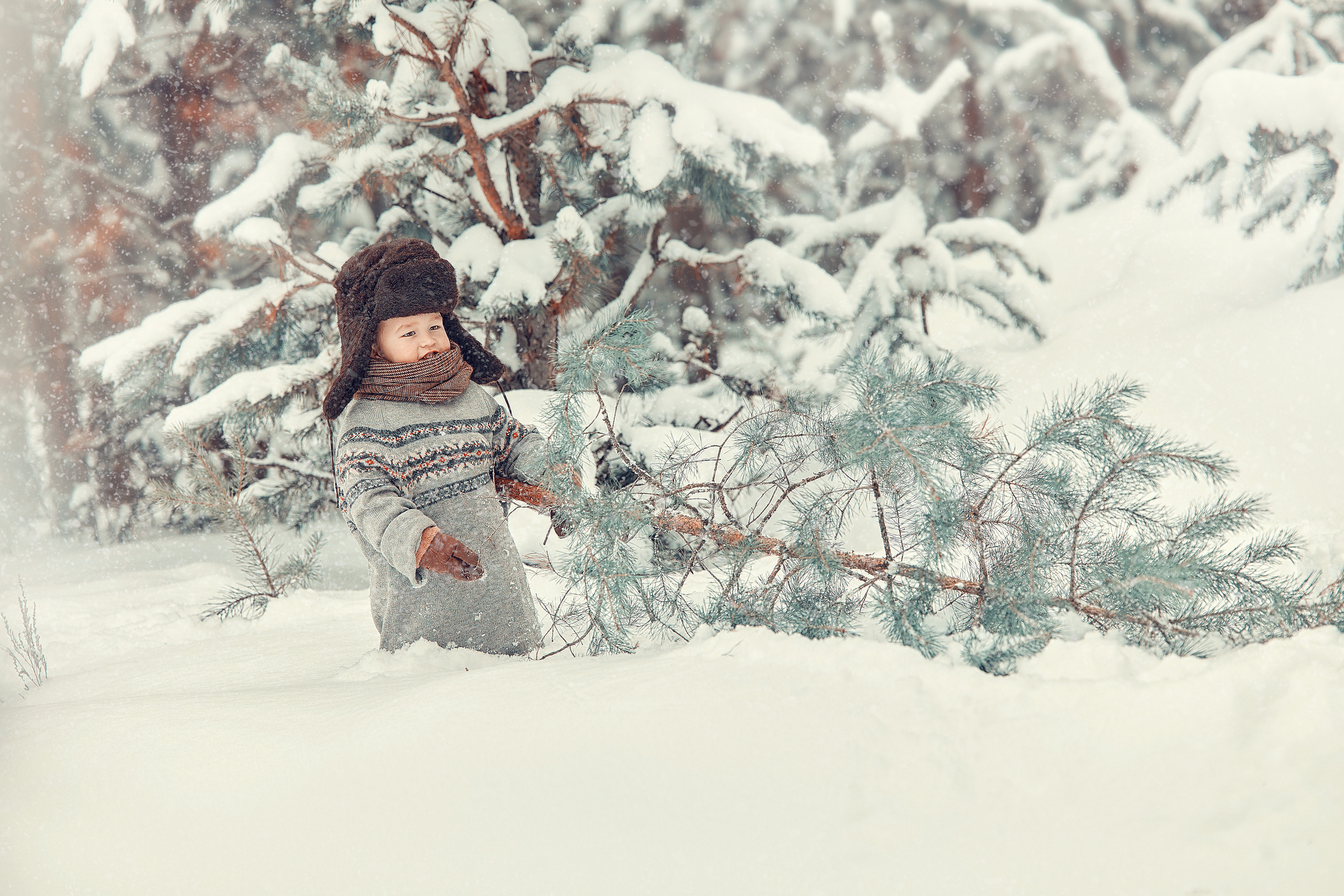 Мальчик, собака и елка. Главная