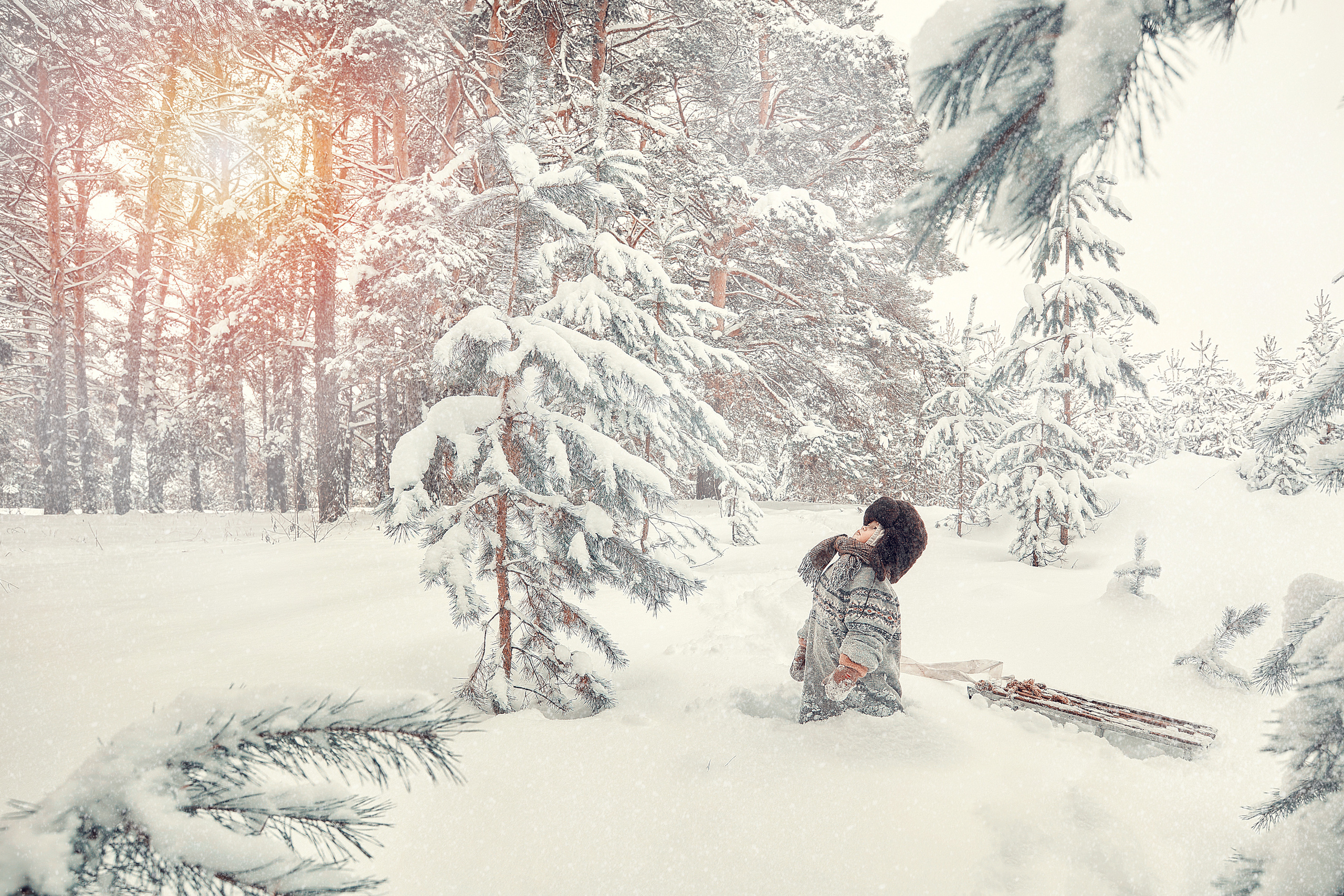 Мальчик, собака и елка. Главная