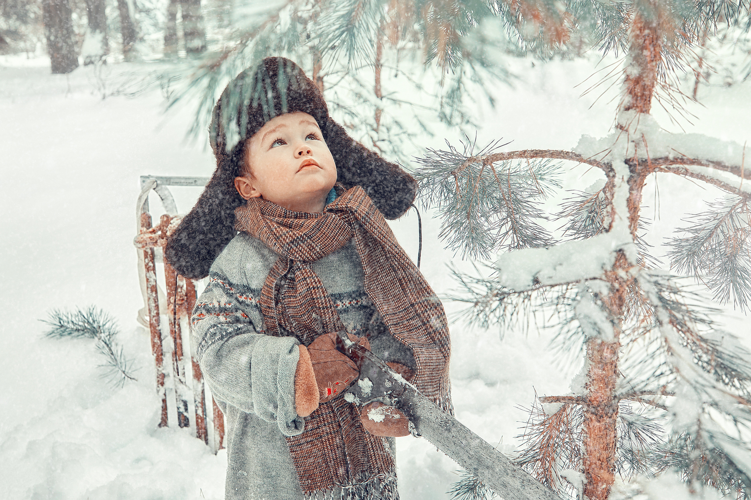 Мальчик, собака и елка. Главная