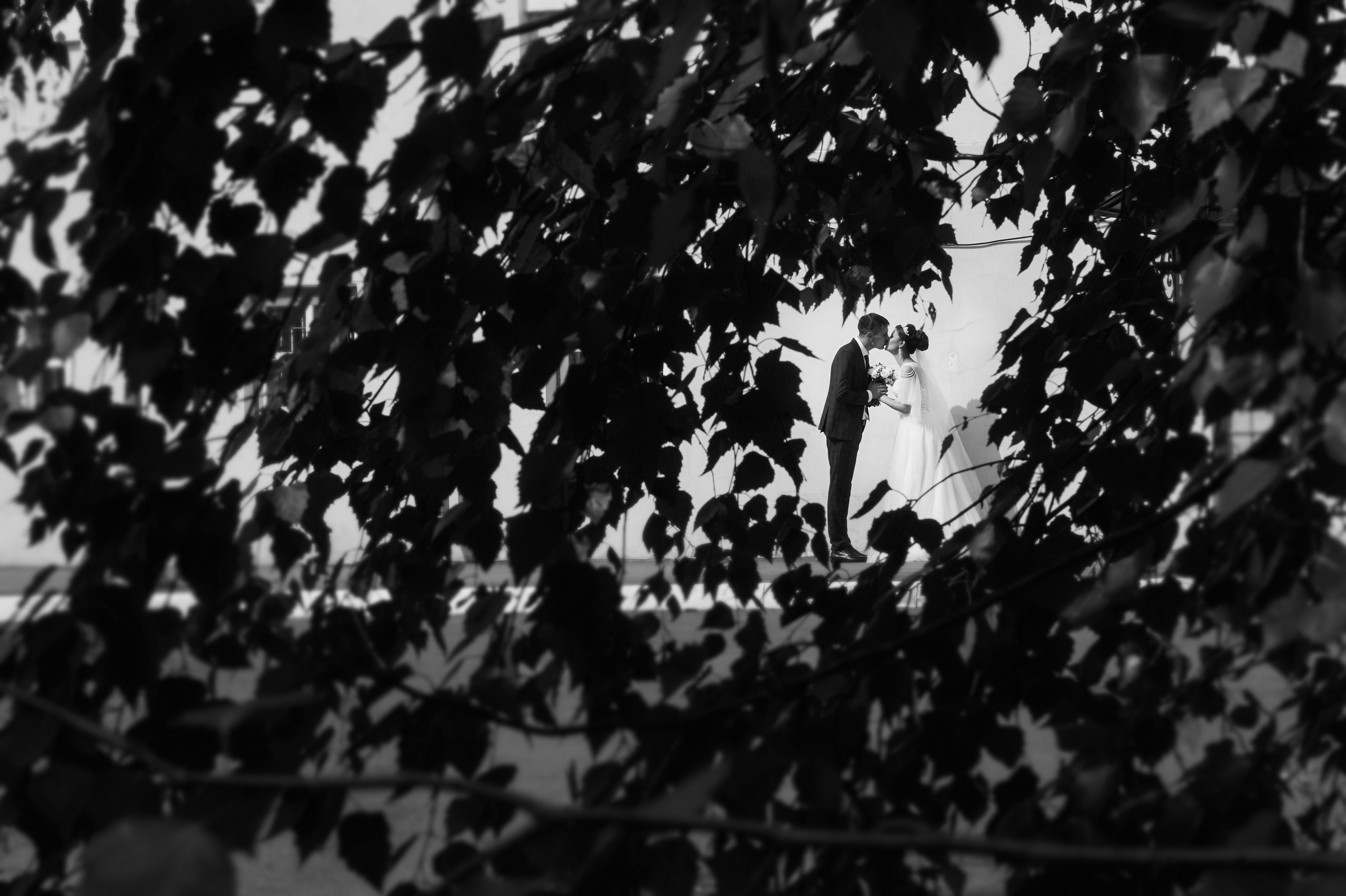 ЧЕРНО-БЕЛОЕ (свадьбы). Главная