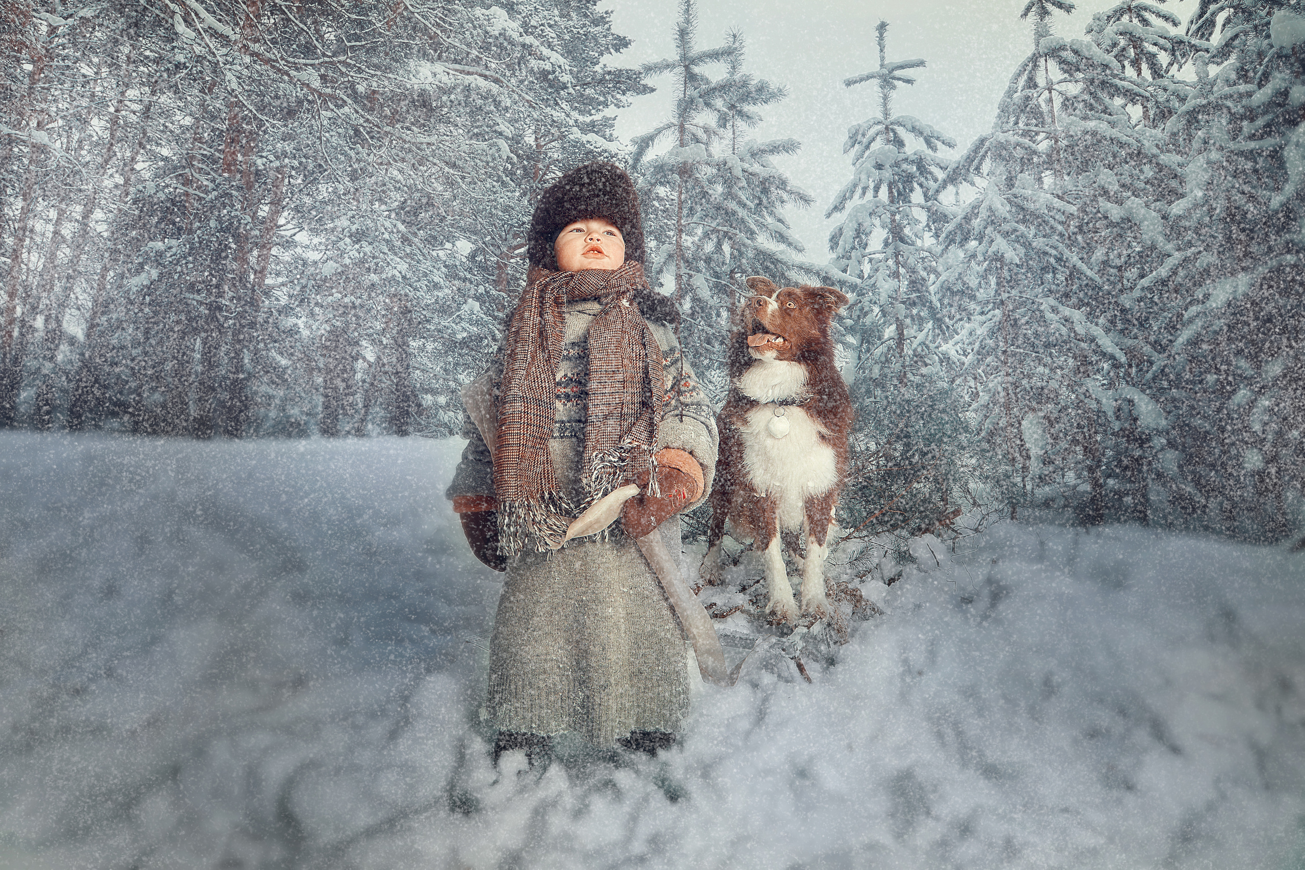 Мальчик, собака и елка. Главная