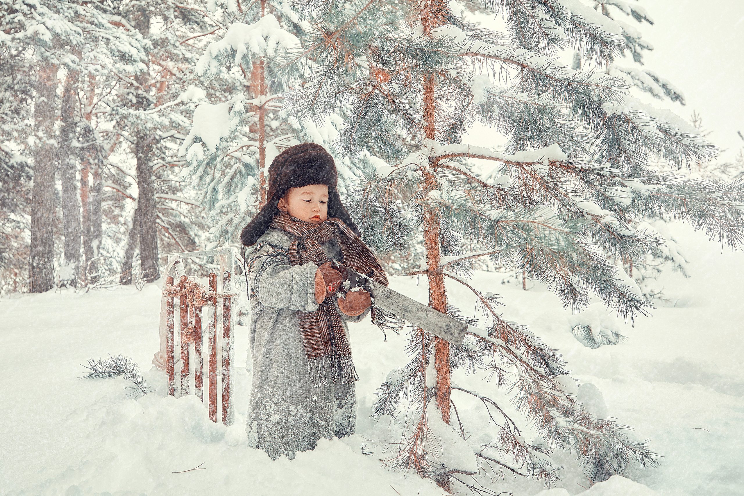 Мальчик, собака и елка. Главная