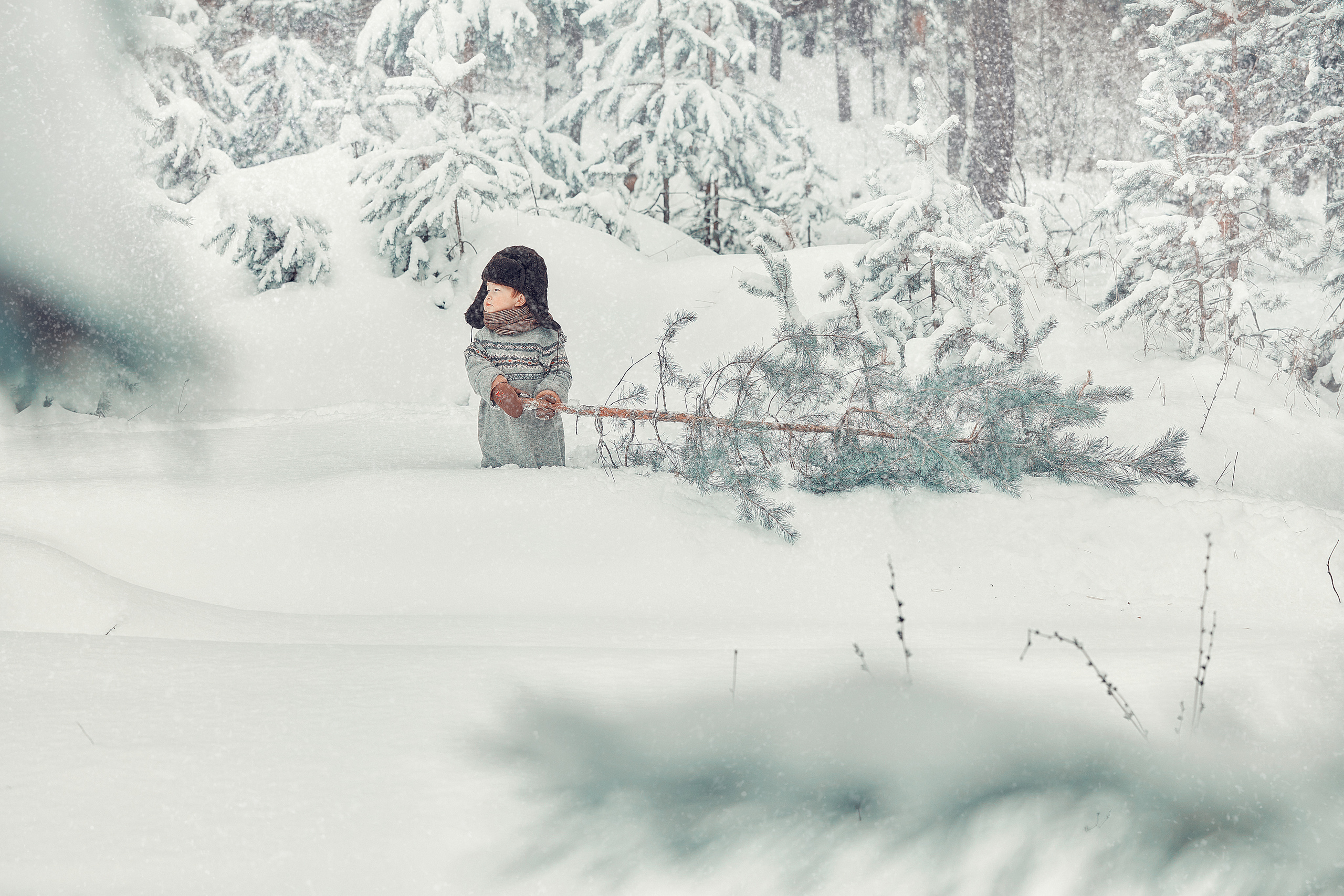 Мальчик, собака и елка. Главная