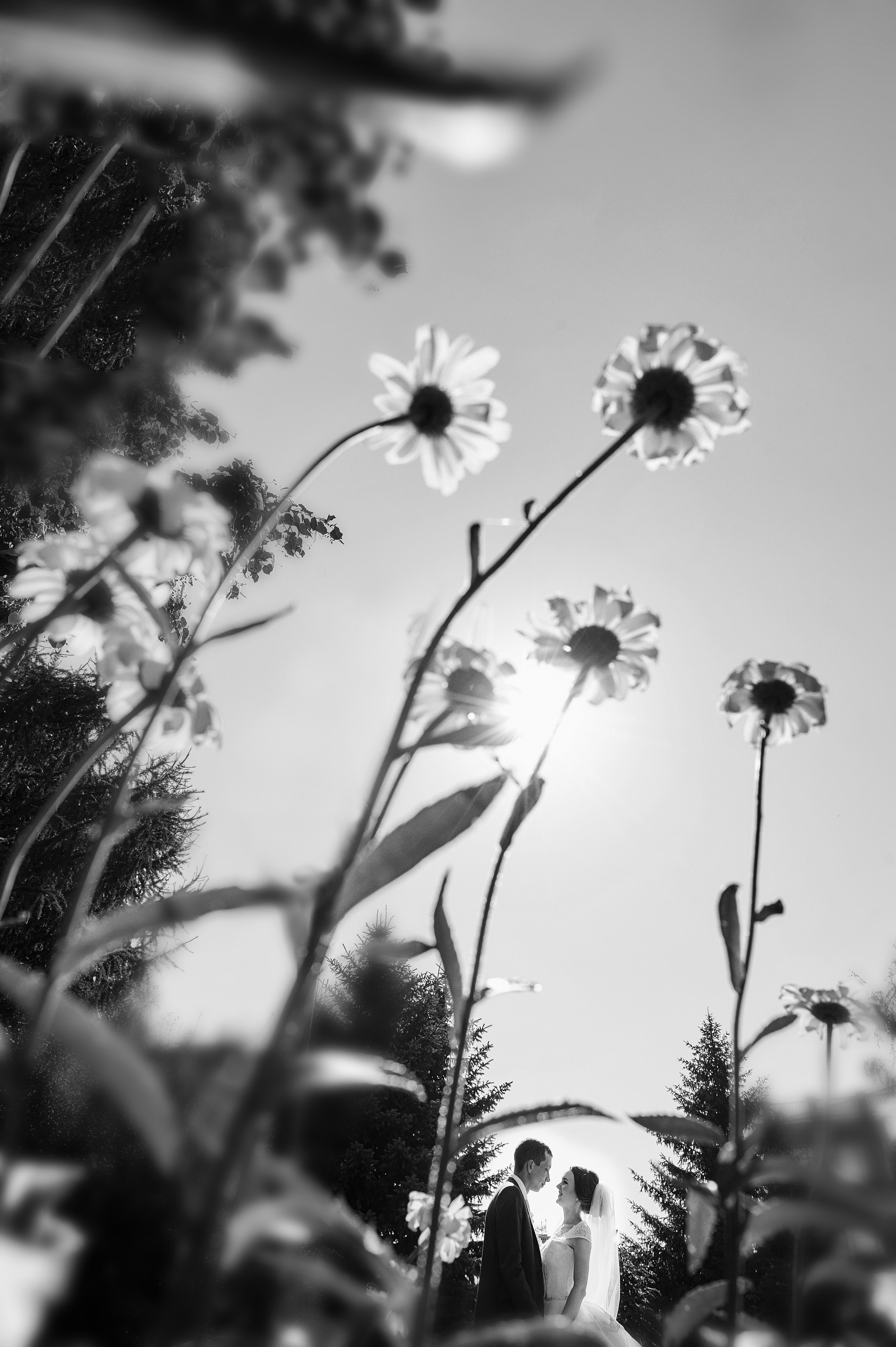 ЧЕРНО-БЕЛОЕ (свадьбы). Главная