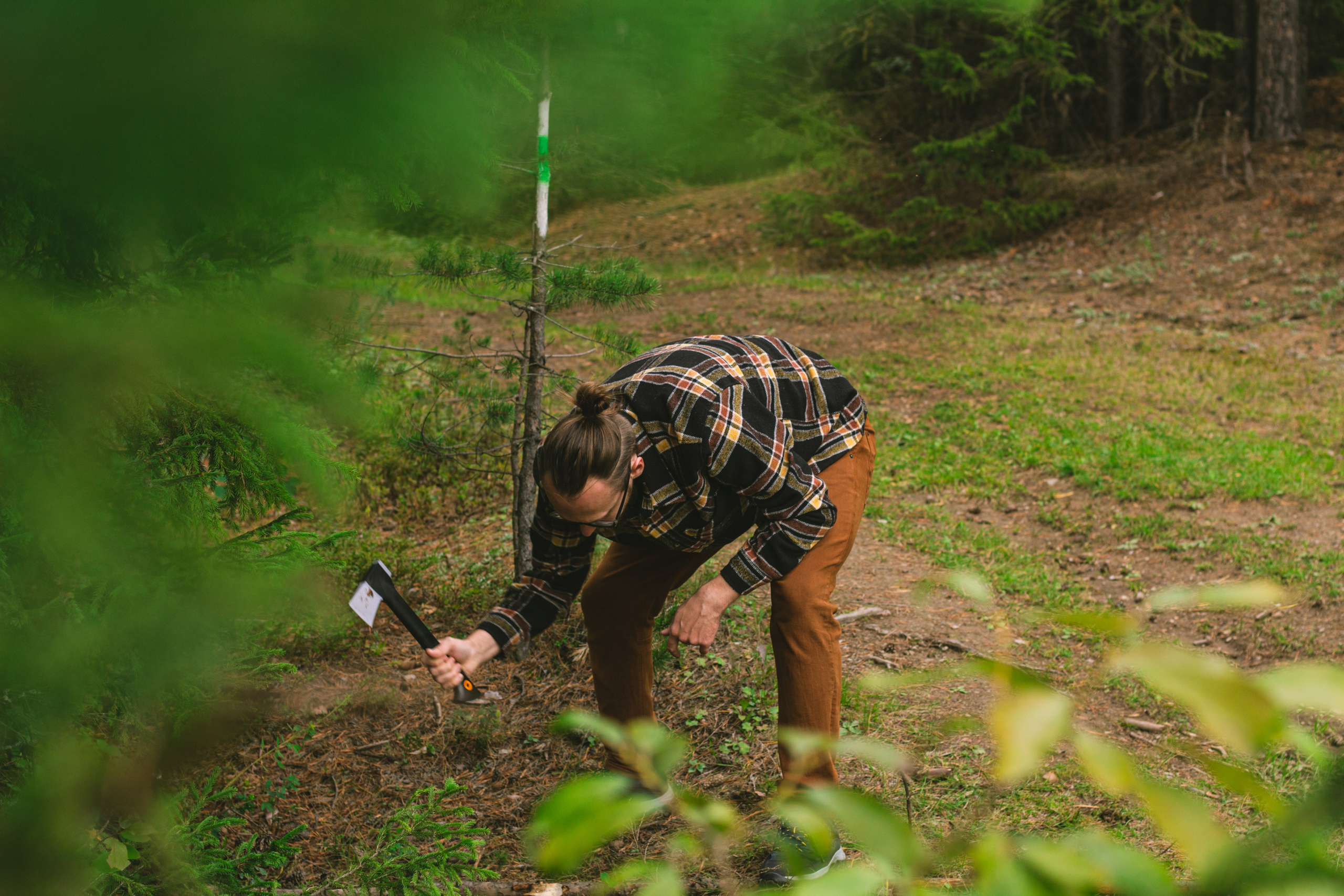 Александр и лес. Фотограф из Первоуральска Роман Заиченко