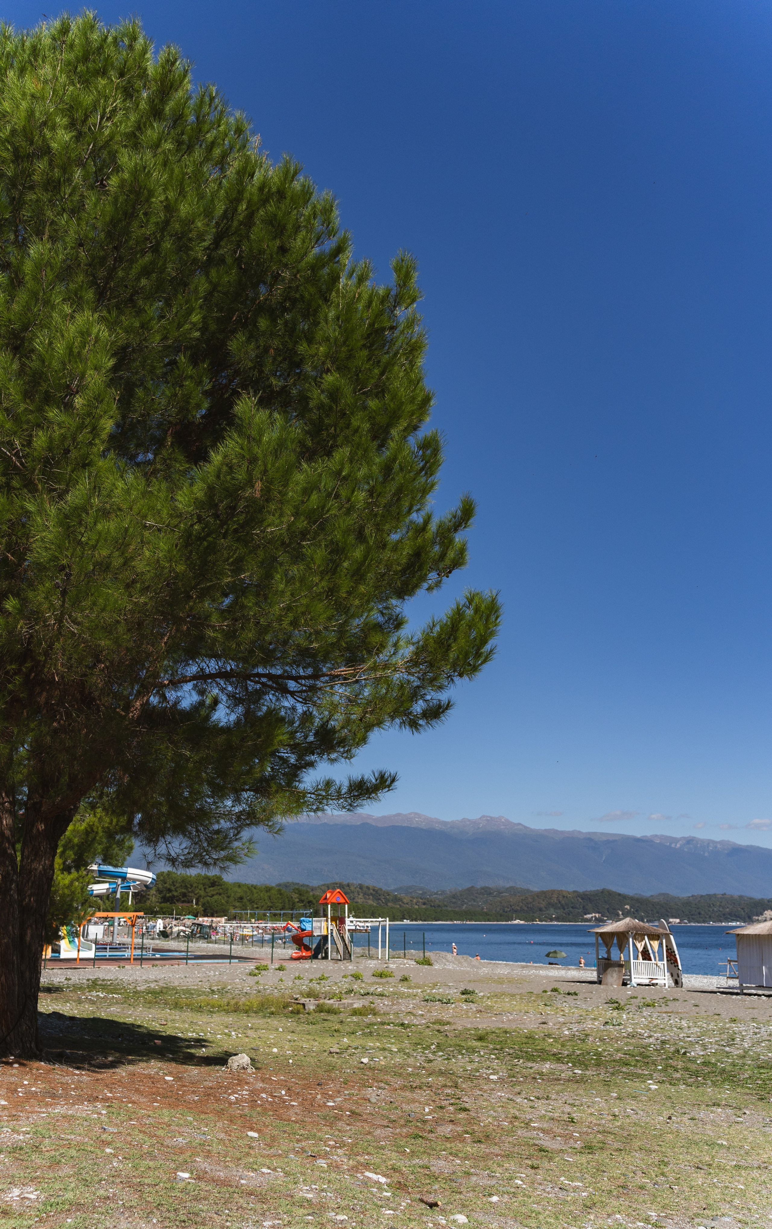 Фотографии из поездки в Абхазию. Предметный фотограф Санкт-Петербург