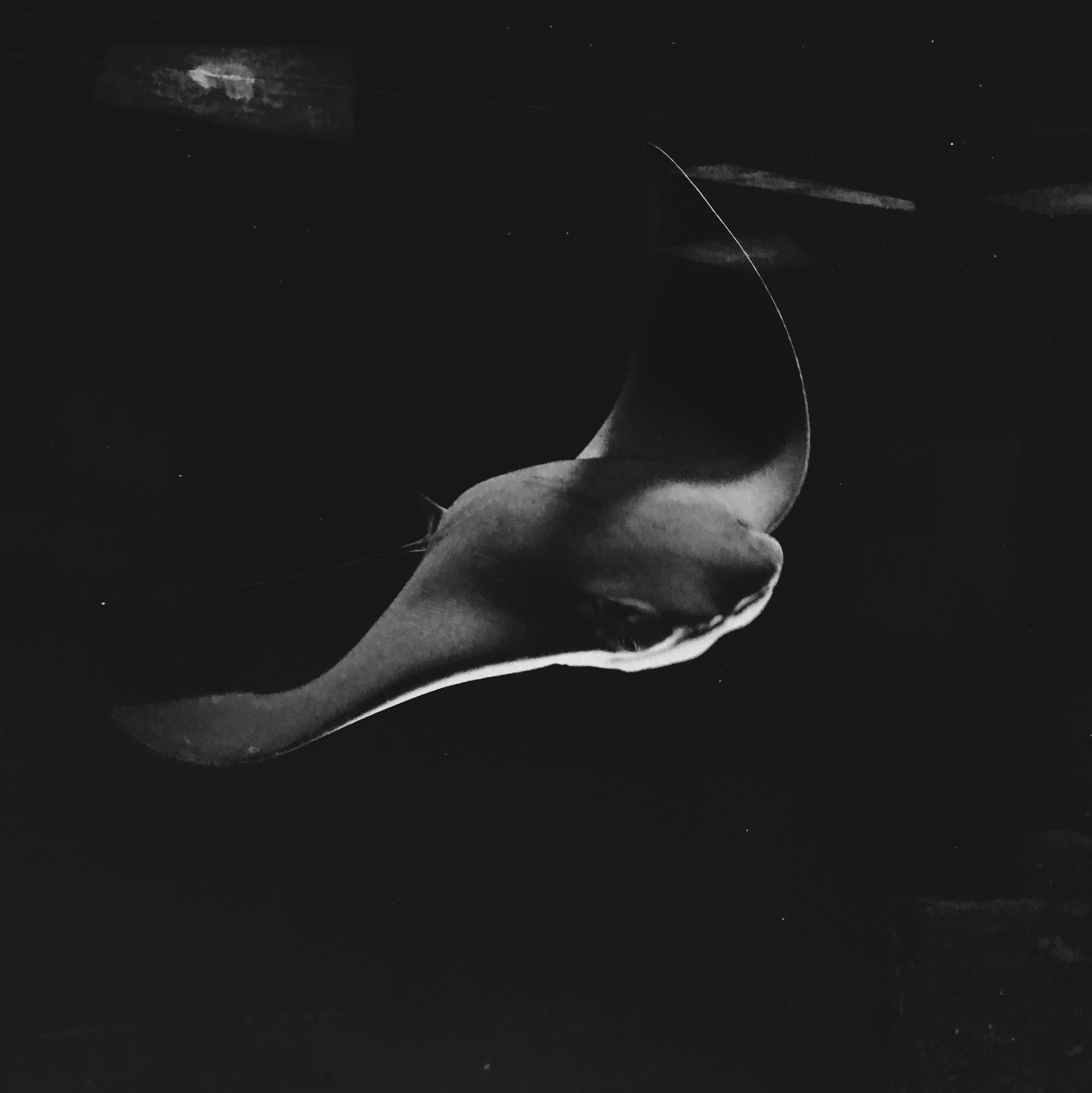 Визуальный дневник. Портретный фотограф в Москве Гахраманова Екатерина