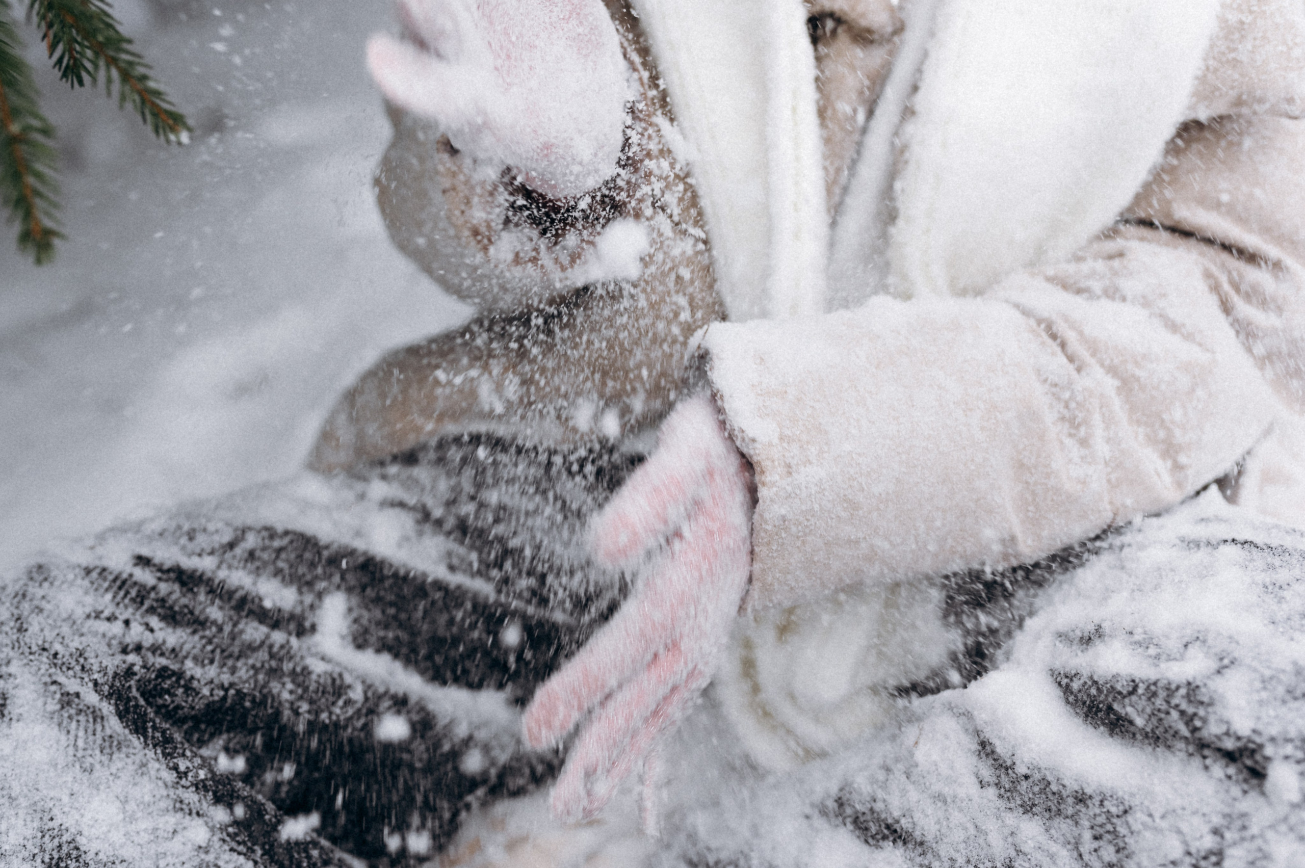 Аня и Милан. Фотограф анималист в Москве Ольга Агушева