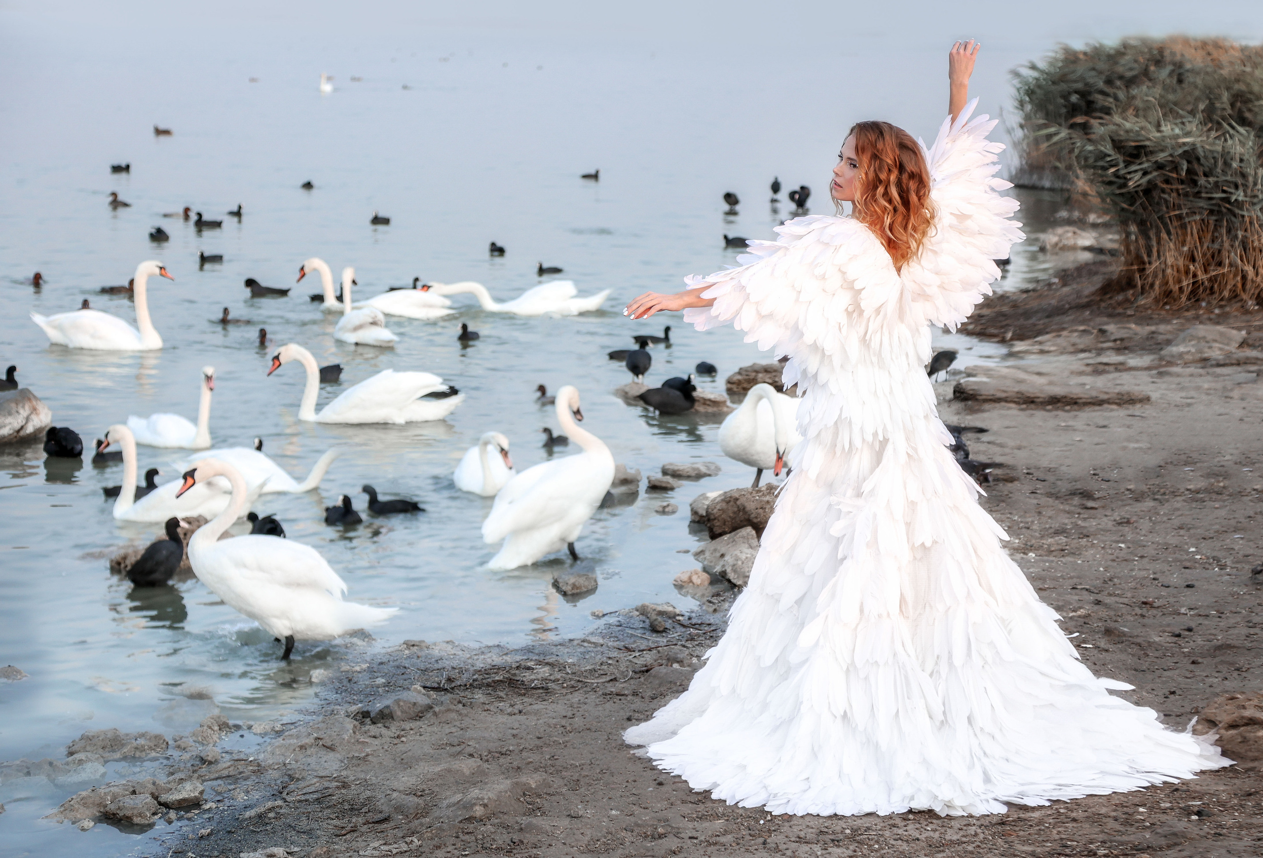 MILENA Лебединое озеро. Свадебный фотограф в Евпатории и в Крыму, Love story, женский портрет