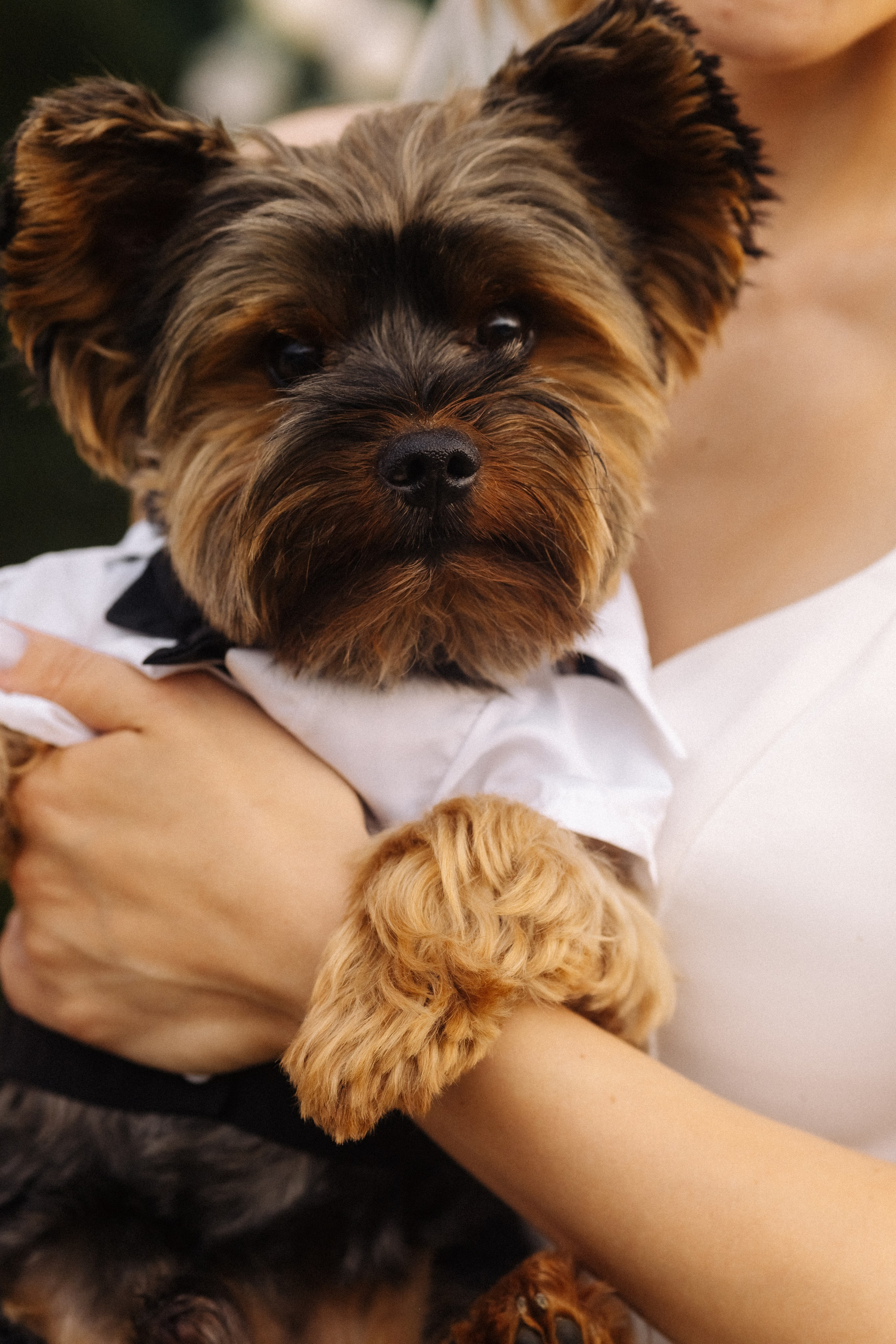 Даша и Саша. Фотограф Анастасия Бачурина Москва/ Спб